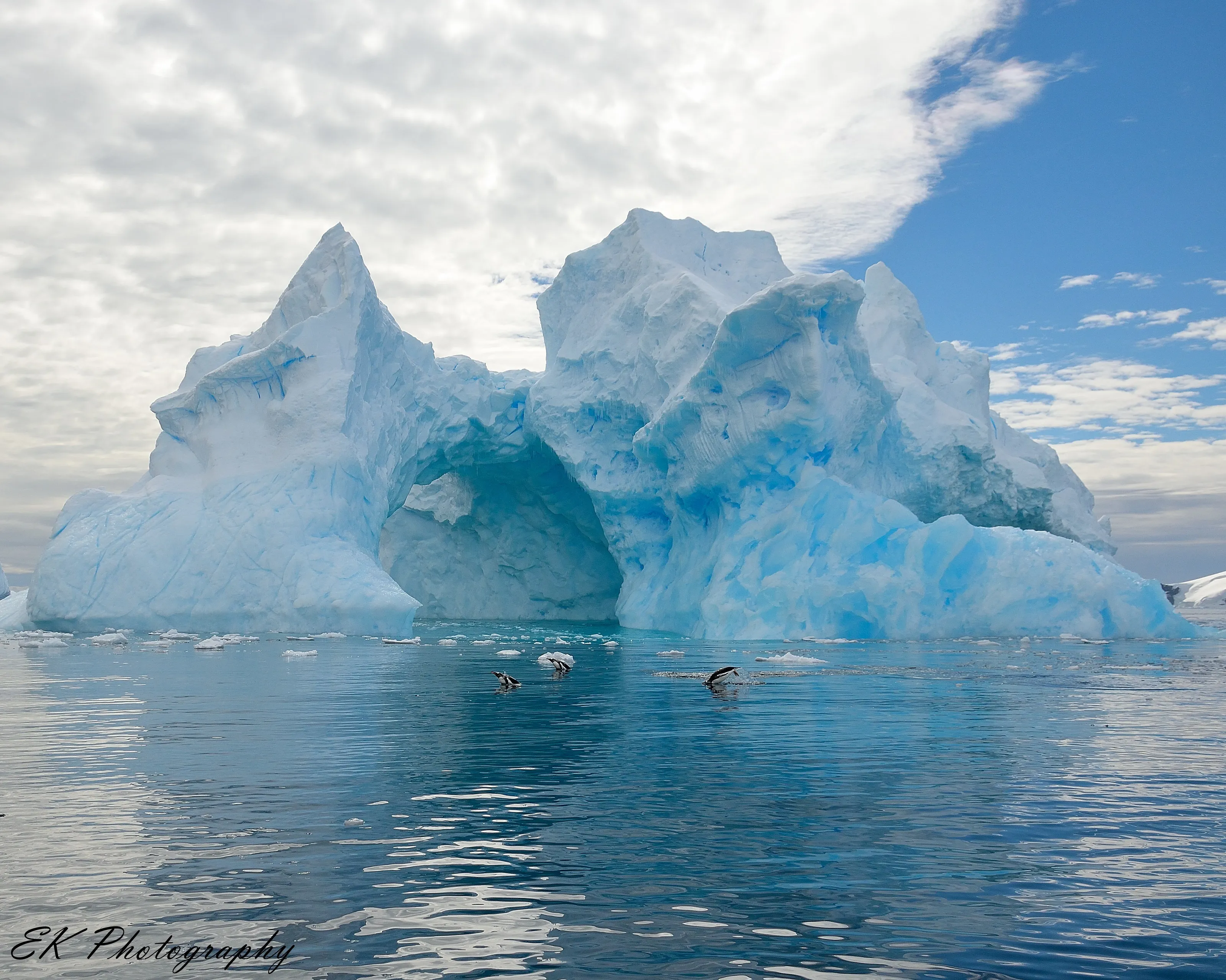 Ice of Cierva Cove