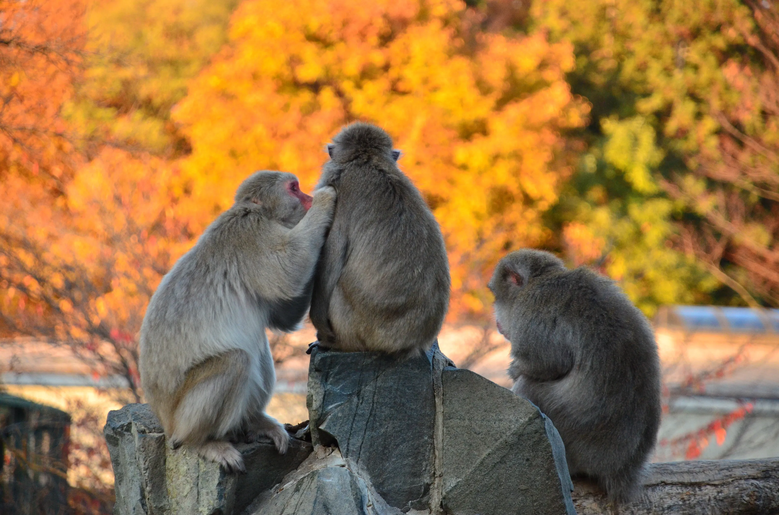 Telling a secret