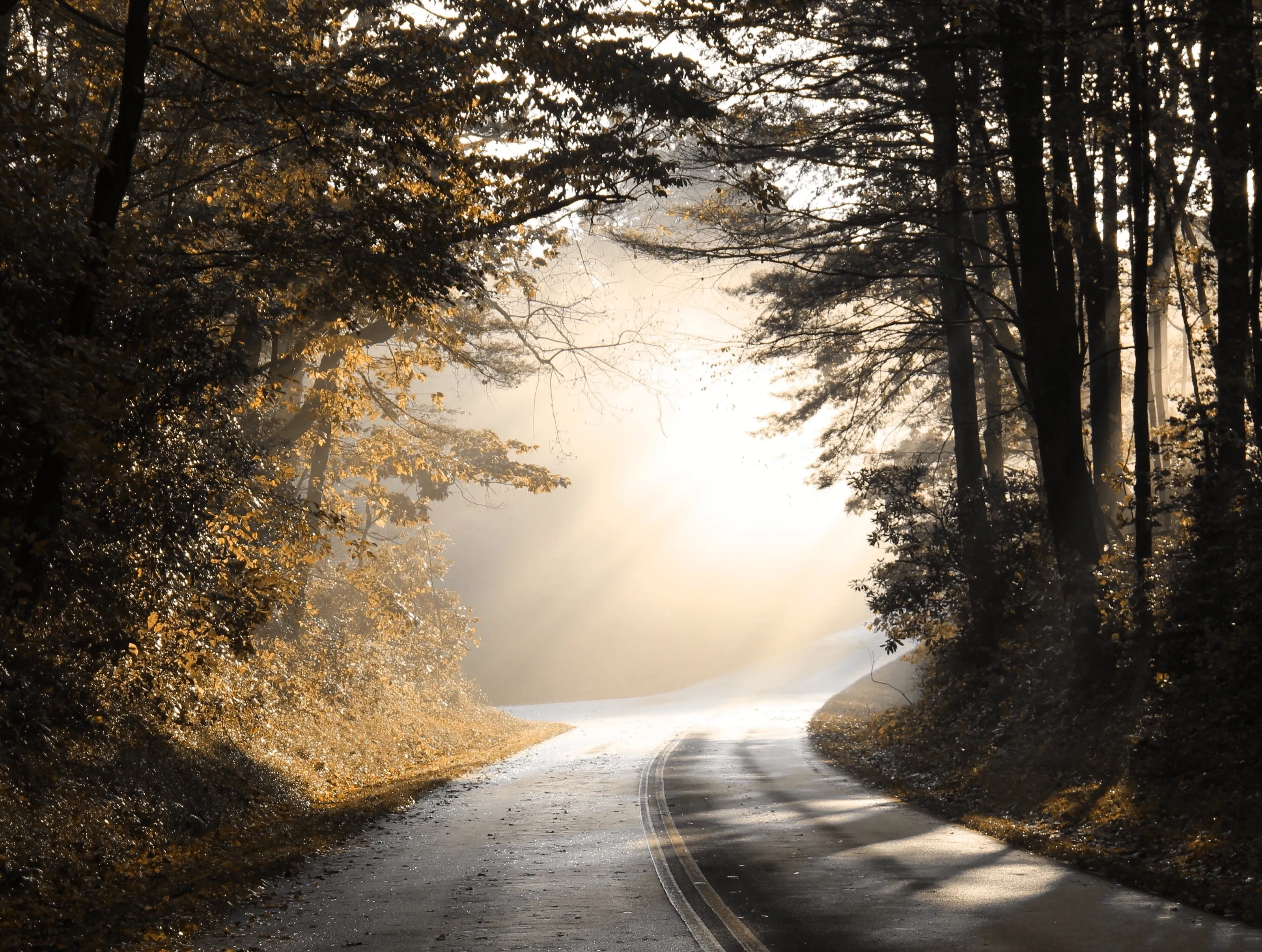 Morning Light