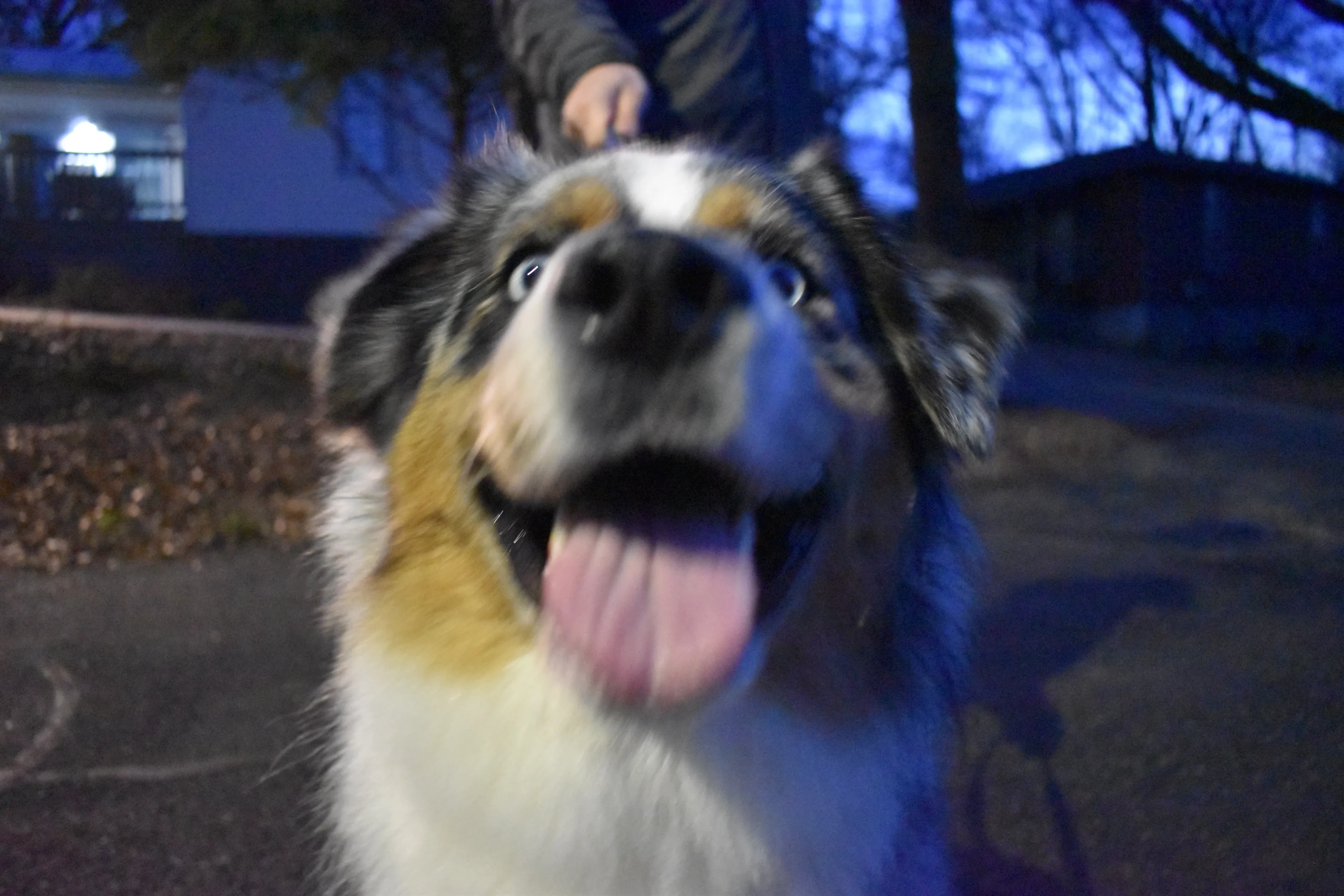 Tillie