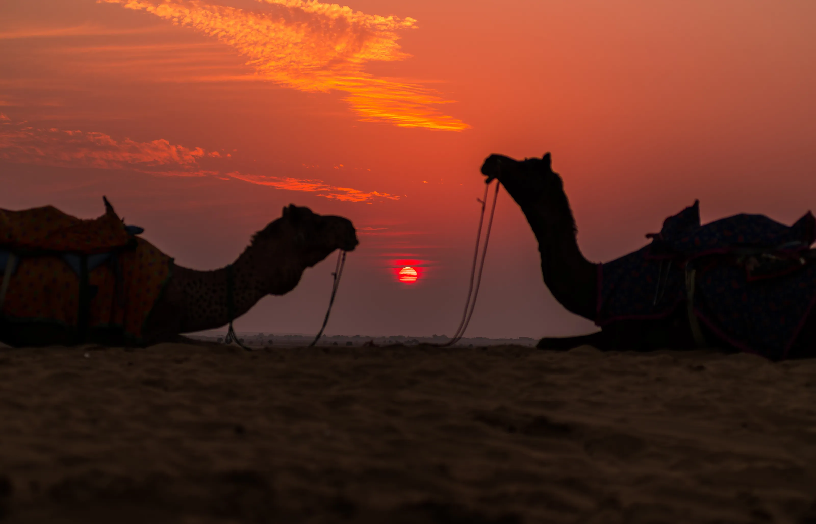 Sunset in Thar Desert.