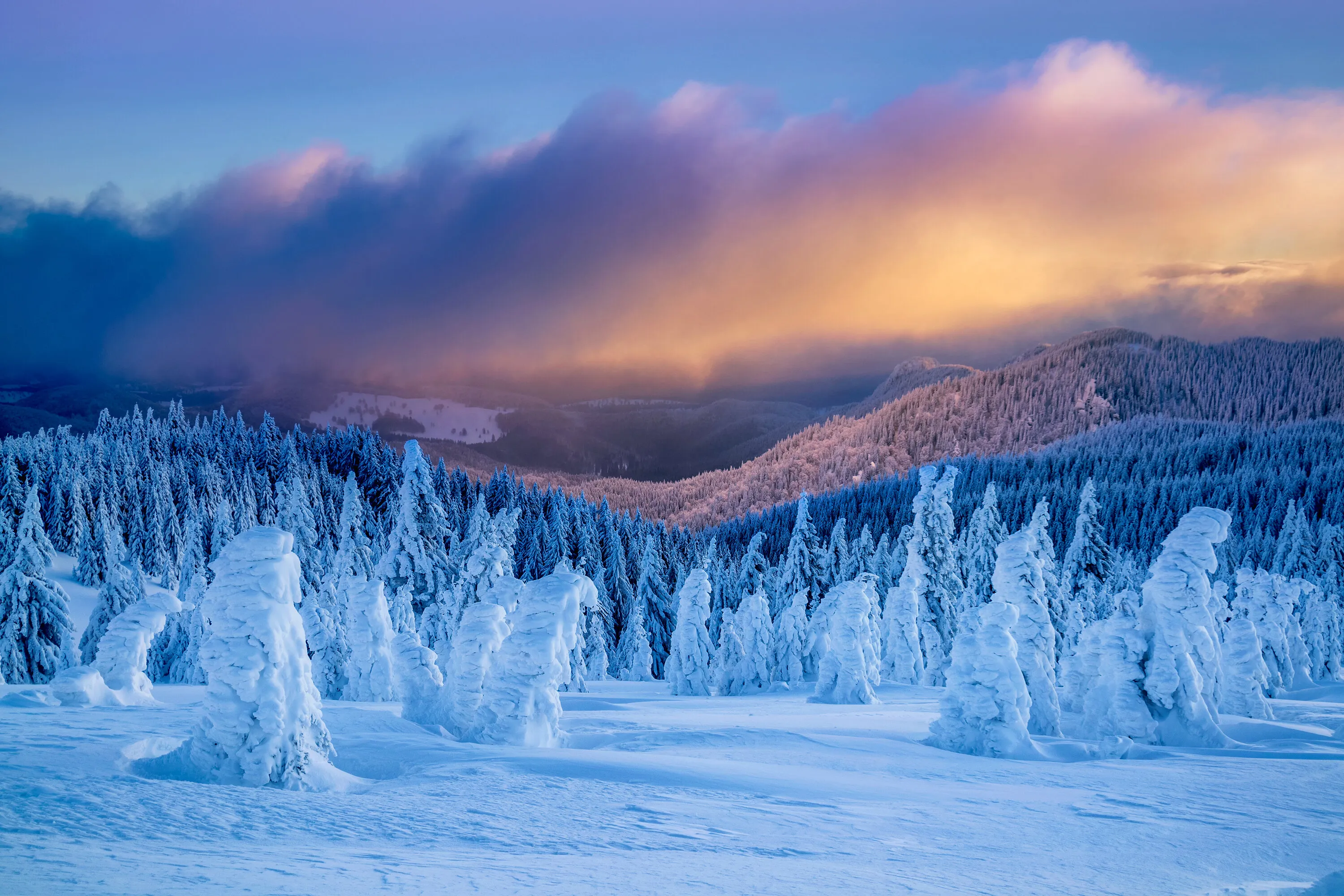 Winter light