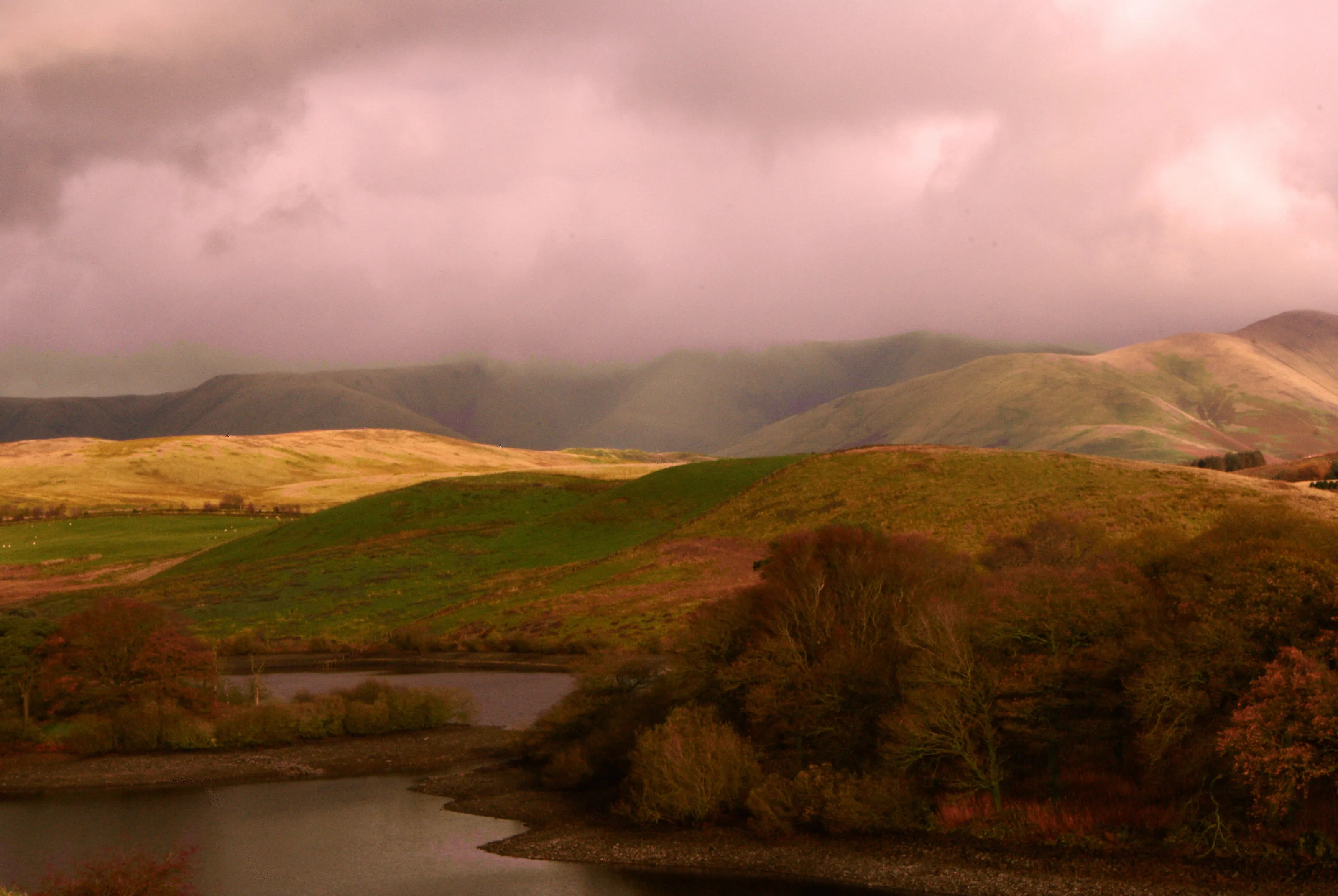 Scots Mist