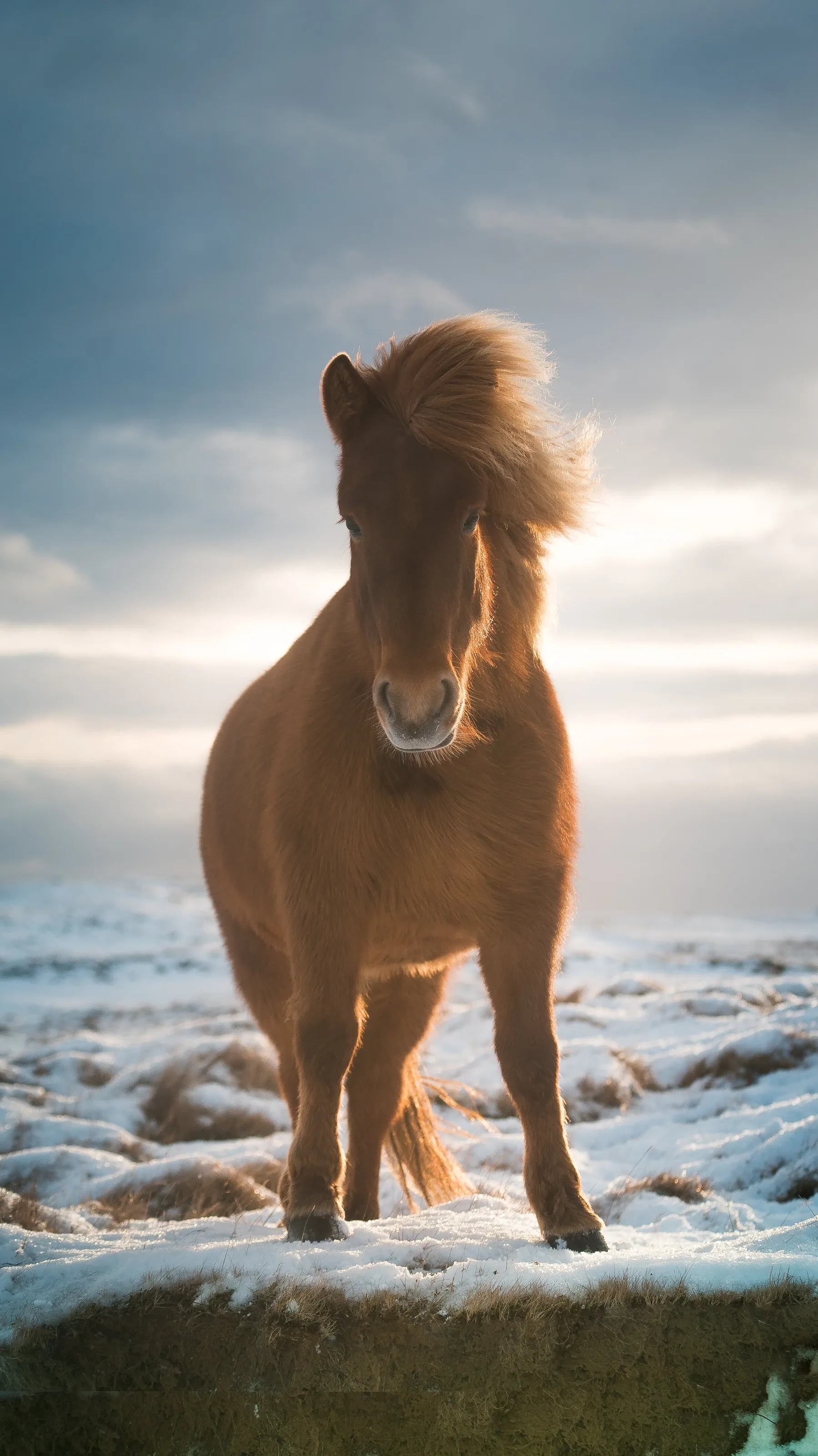 Stand Alone