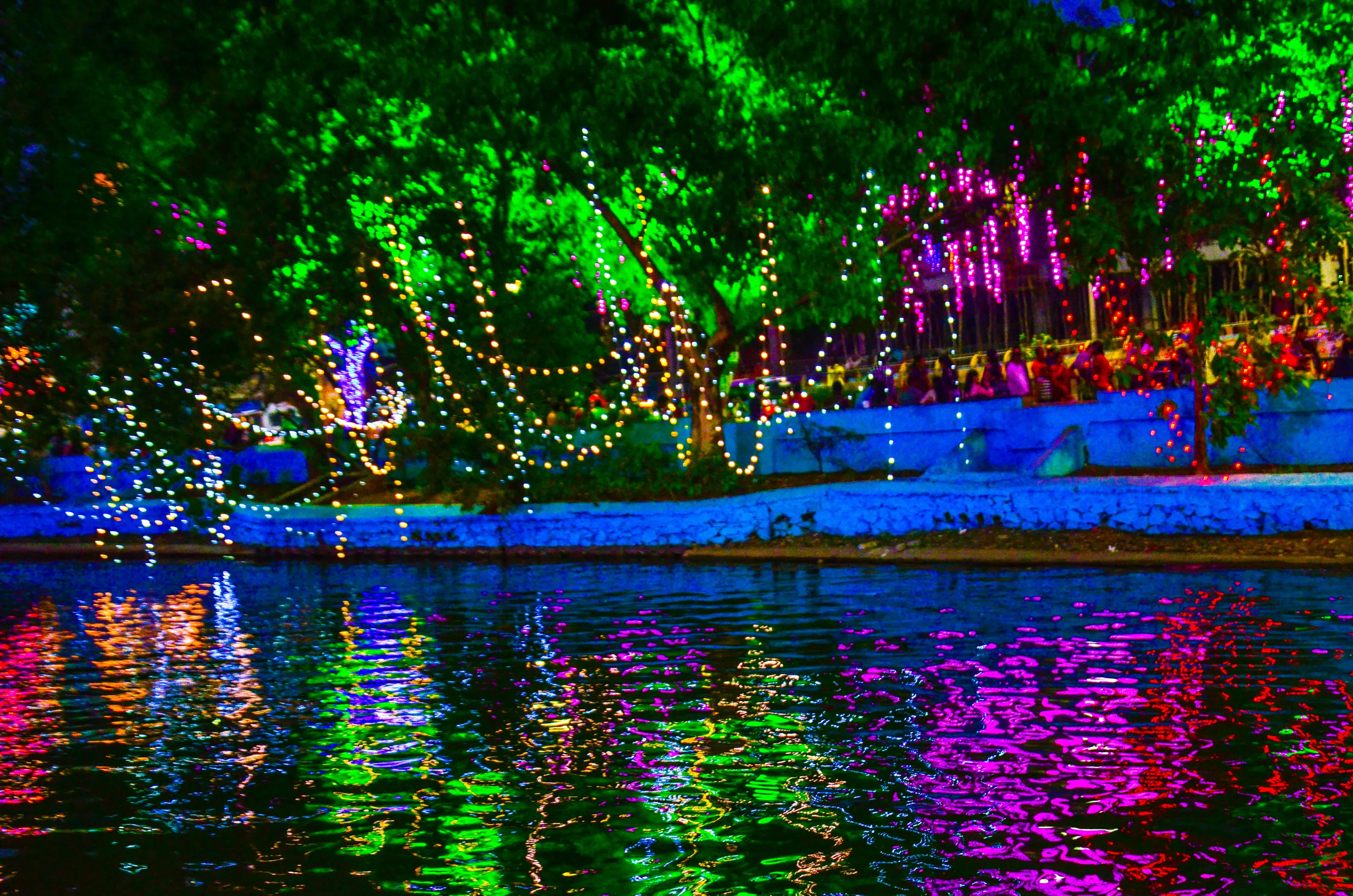 Dancing Reflections