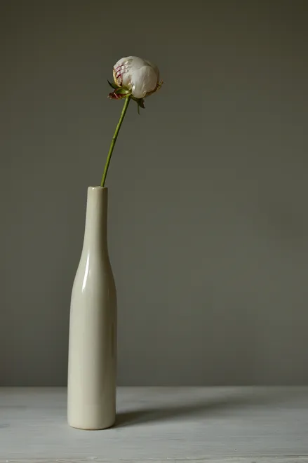 Single stem Peony