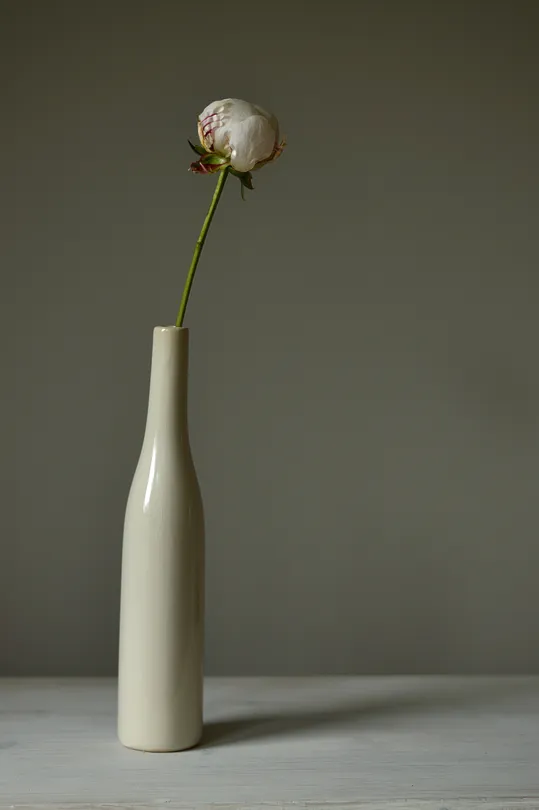 Single stem Peony