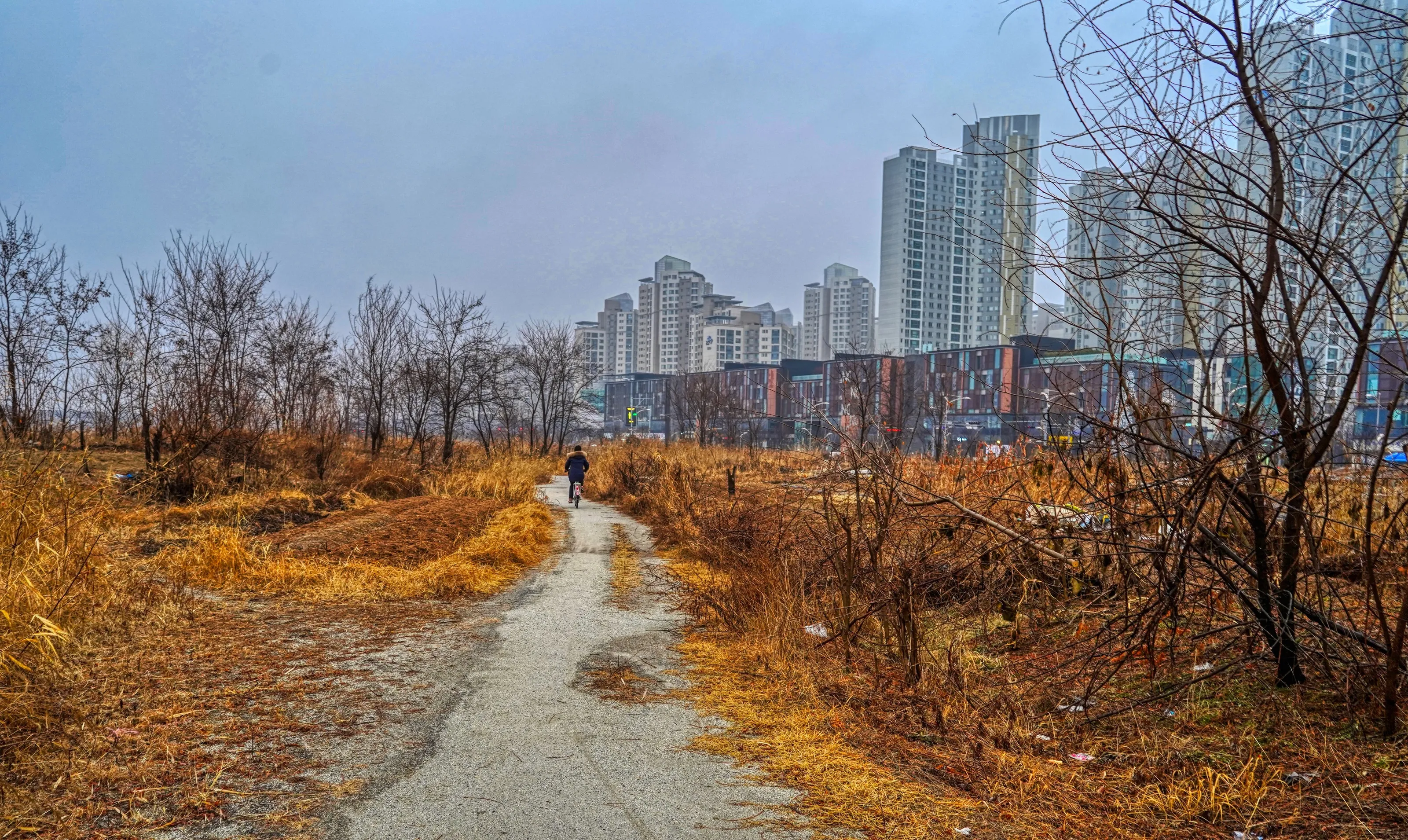 Urban Track