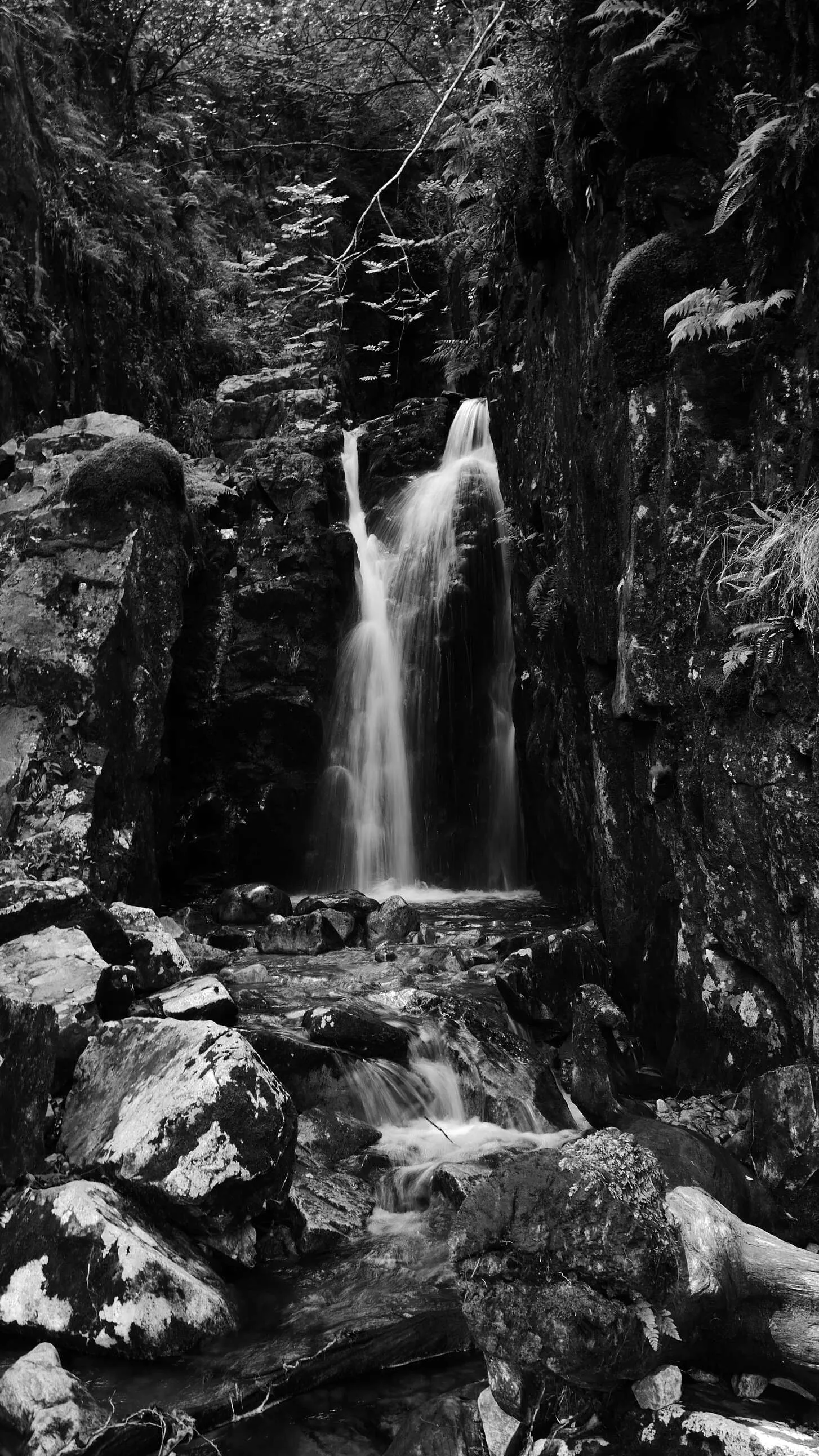 Black and white exposure