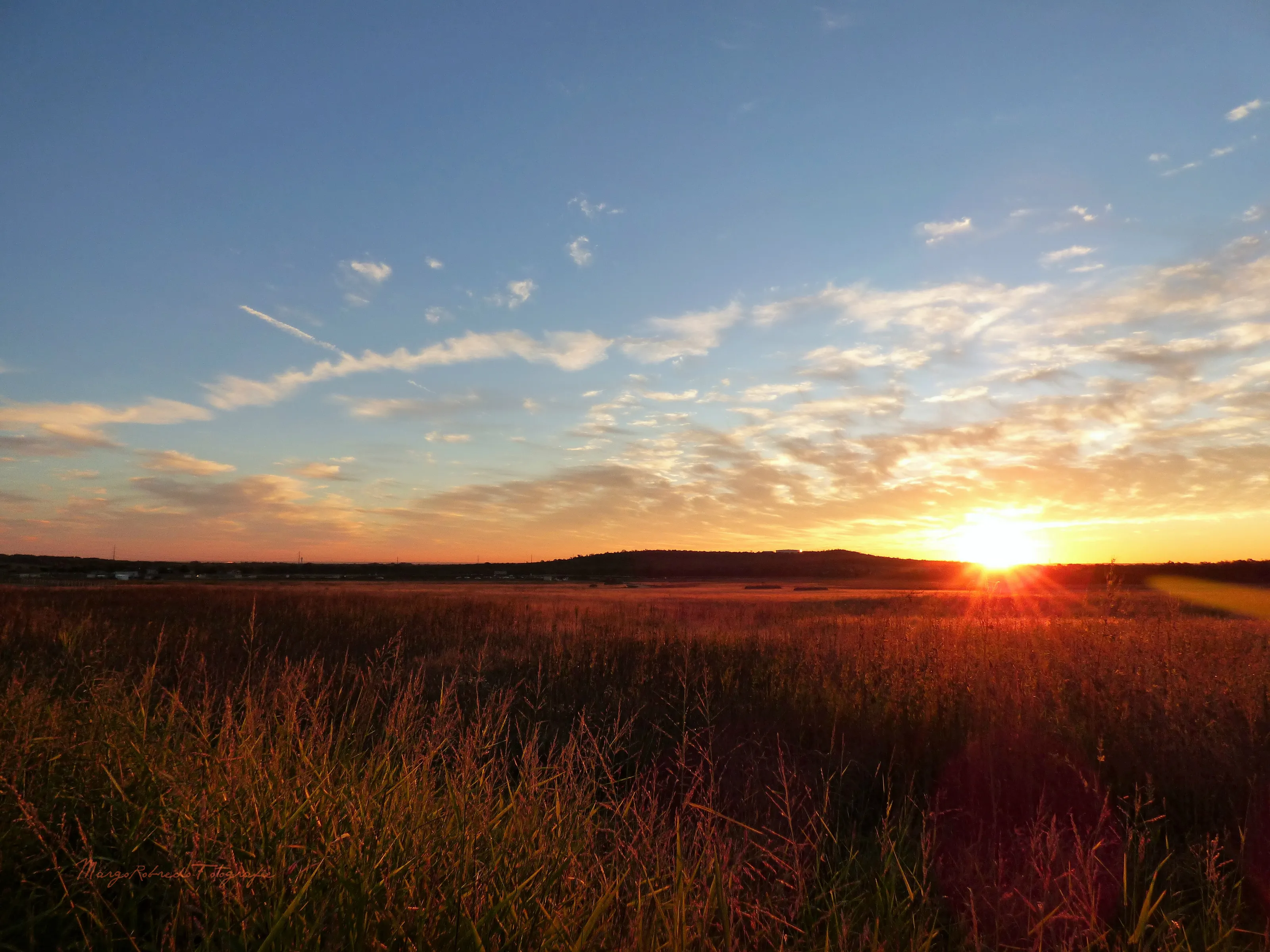 Fields of Bronze