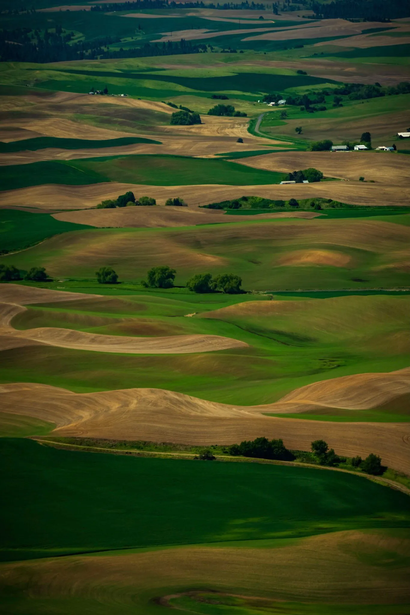Palouse