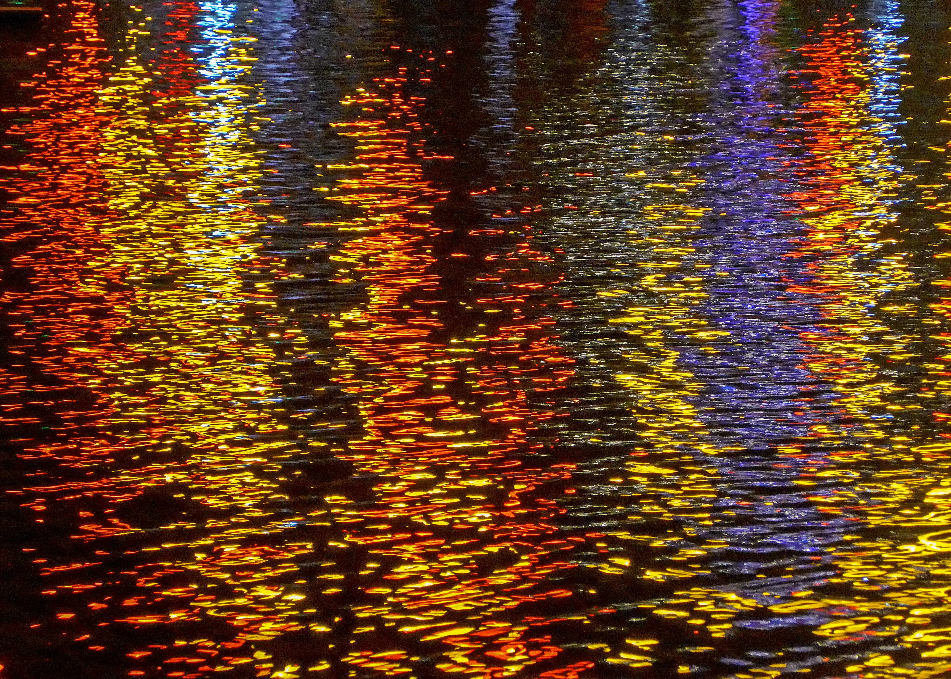 Bradford Forest of Light 06 October 2016