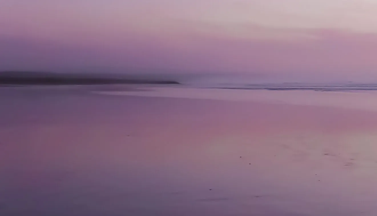 Purple Haze on the Beach