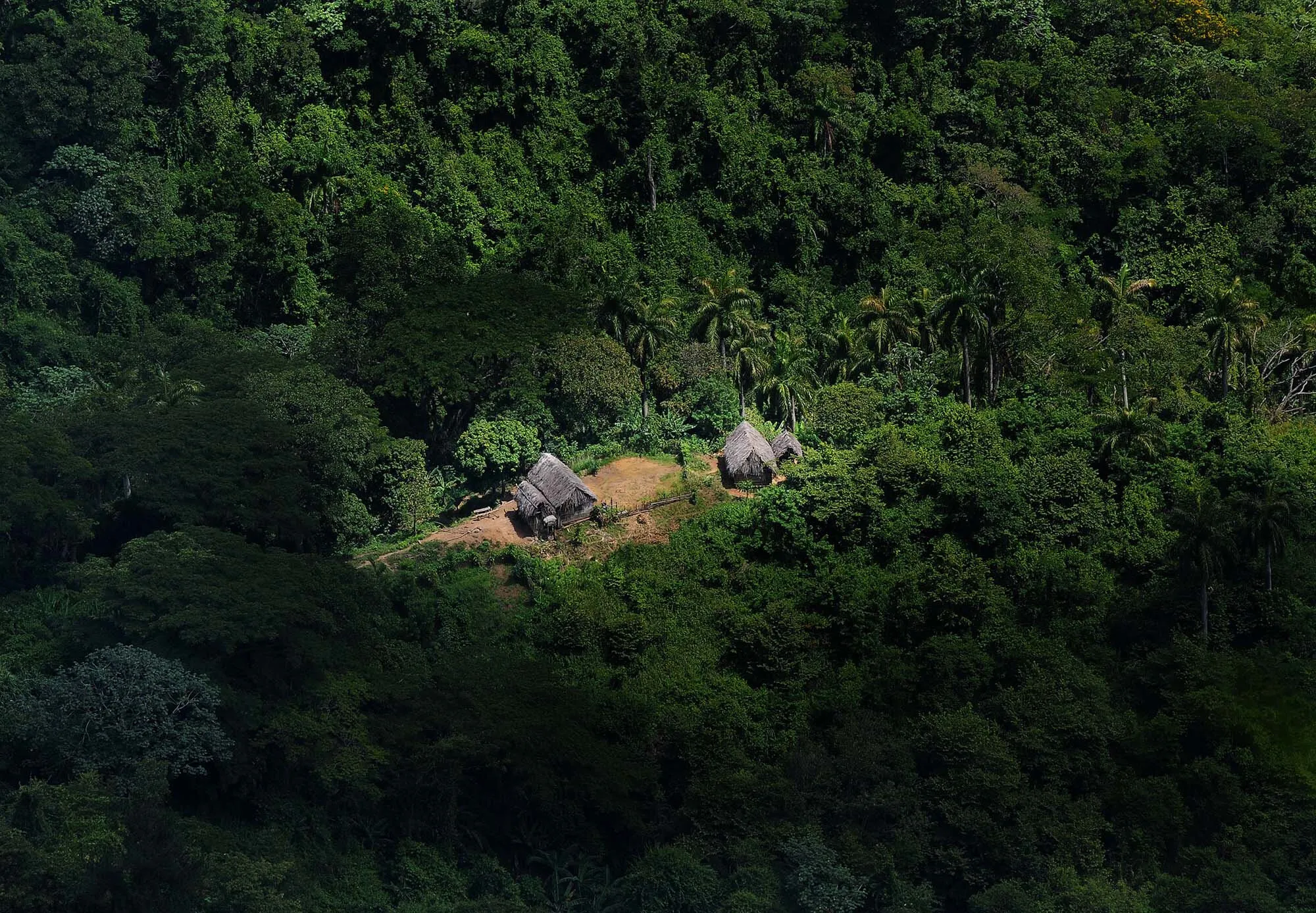 No civilización.