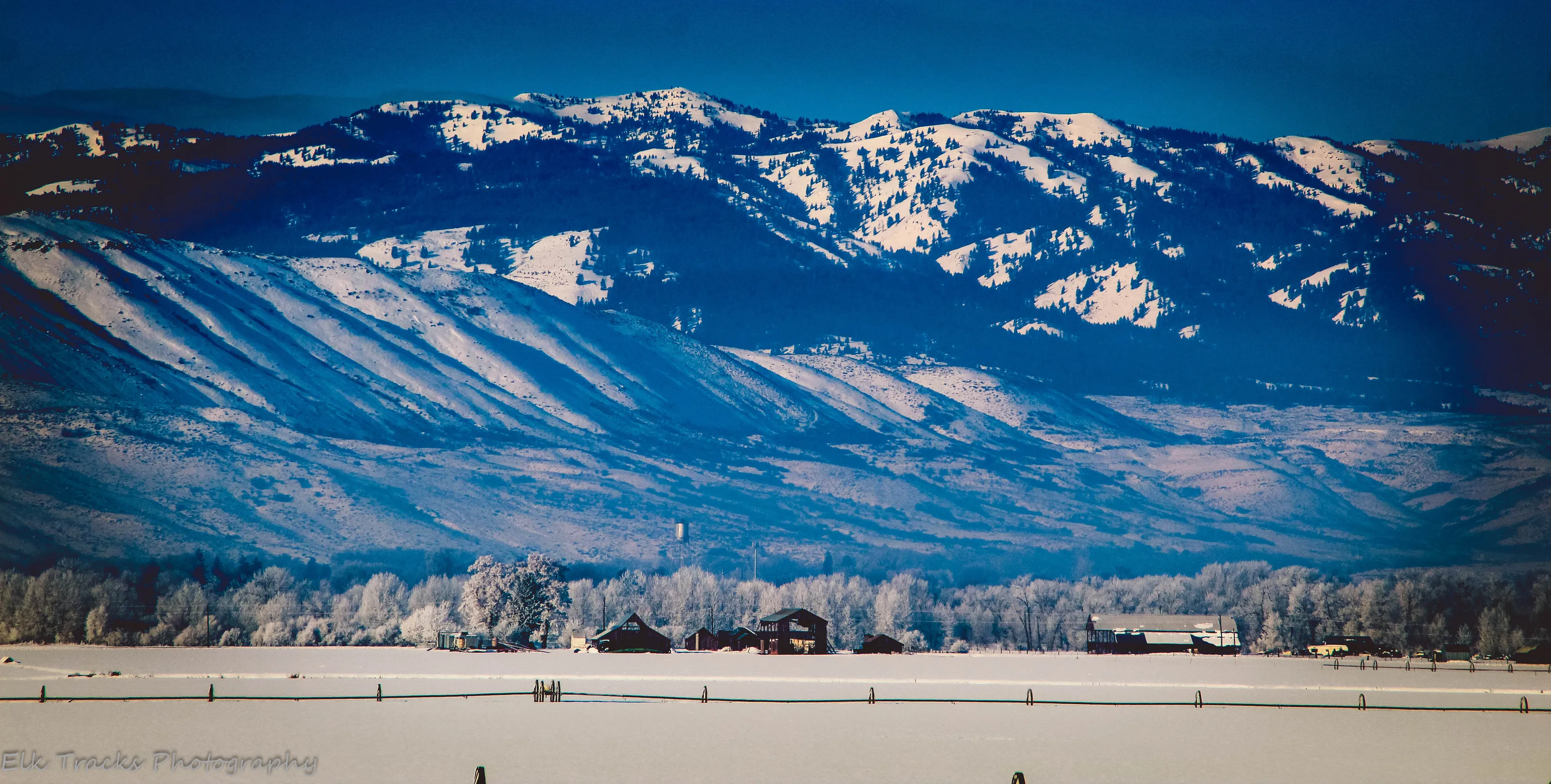 Winter Wonderland