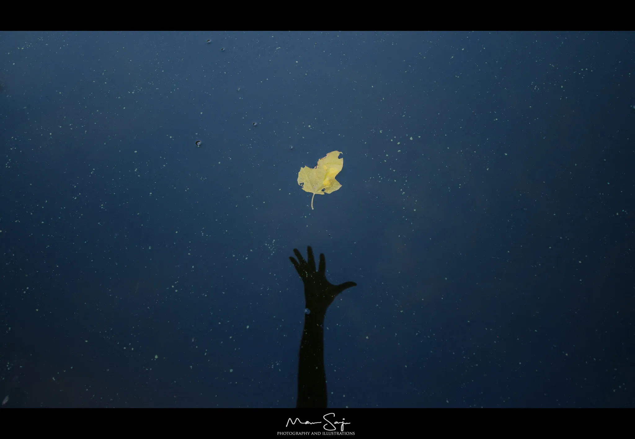 The Life ( Leaf on water with reflection of hand )