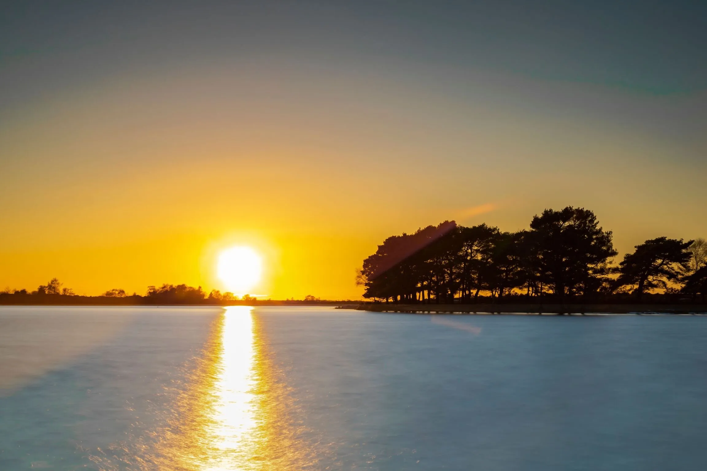 Pond sunset