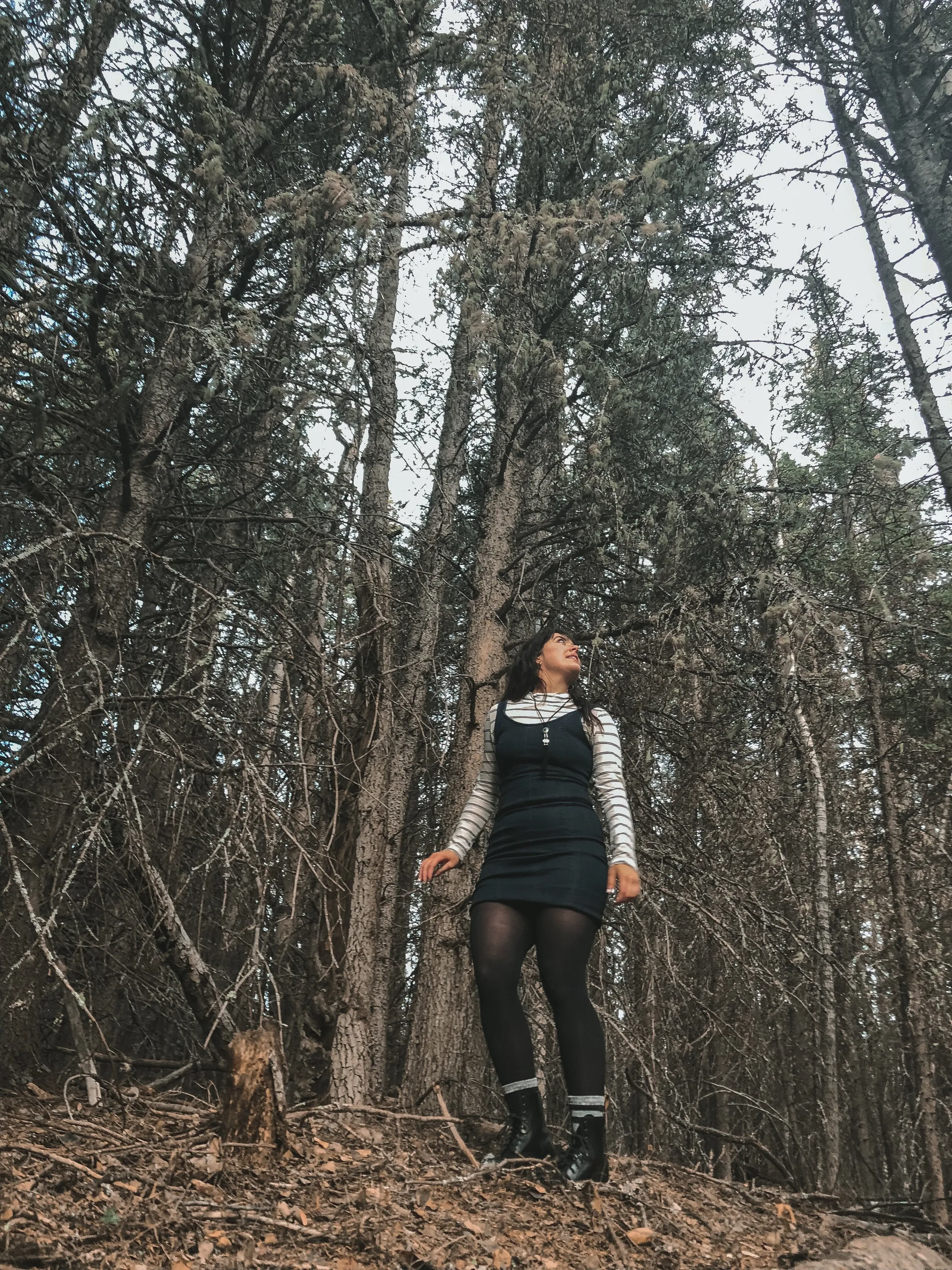 a walk in the woods