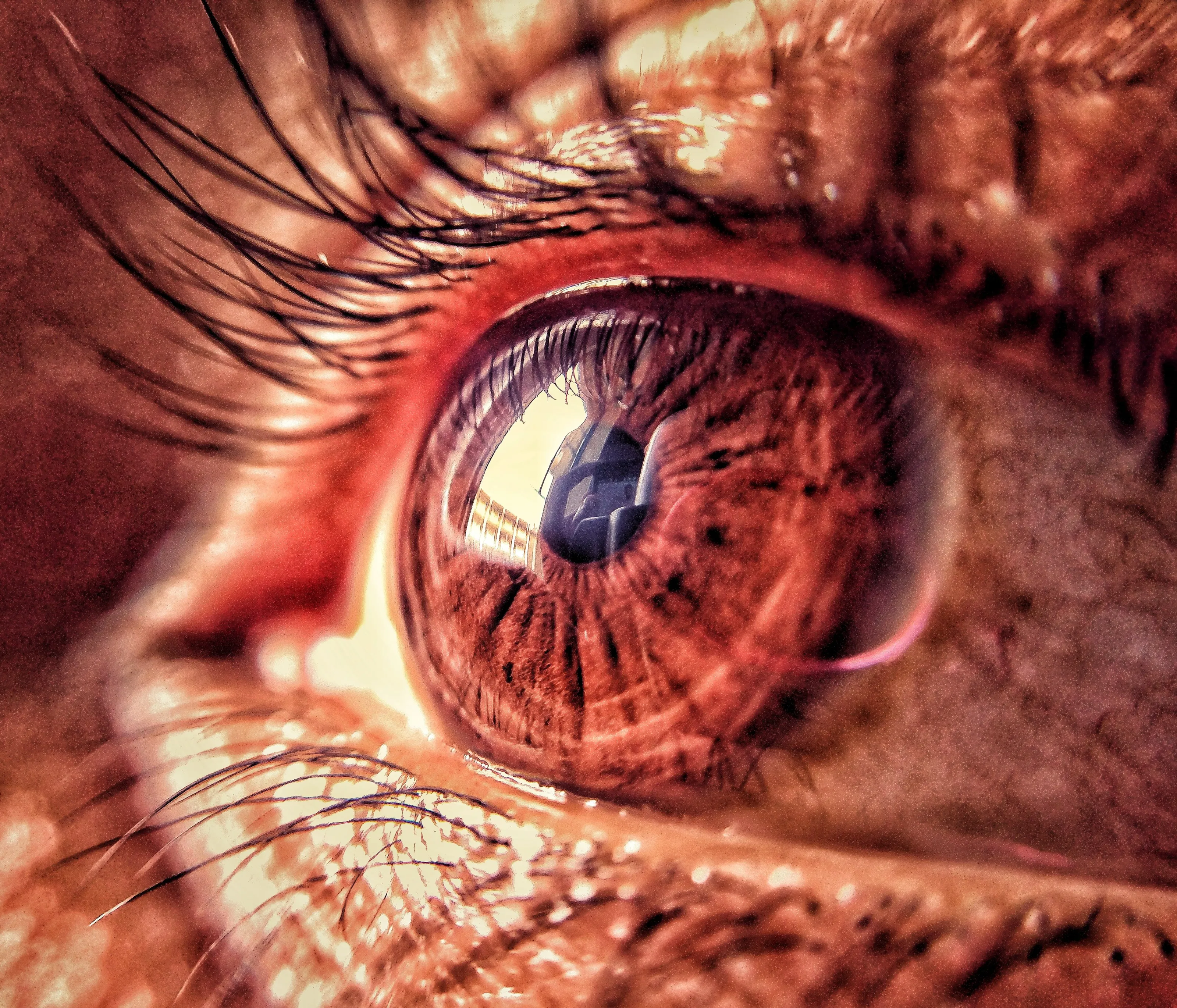 An eye for detail.