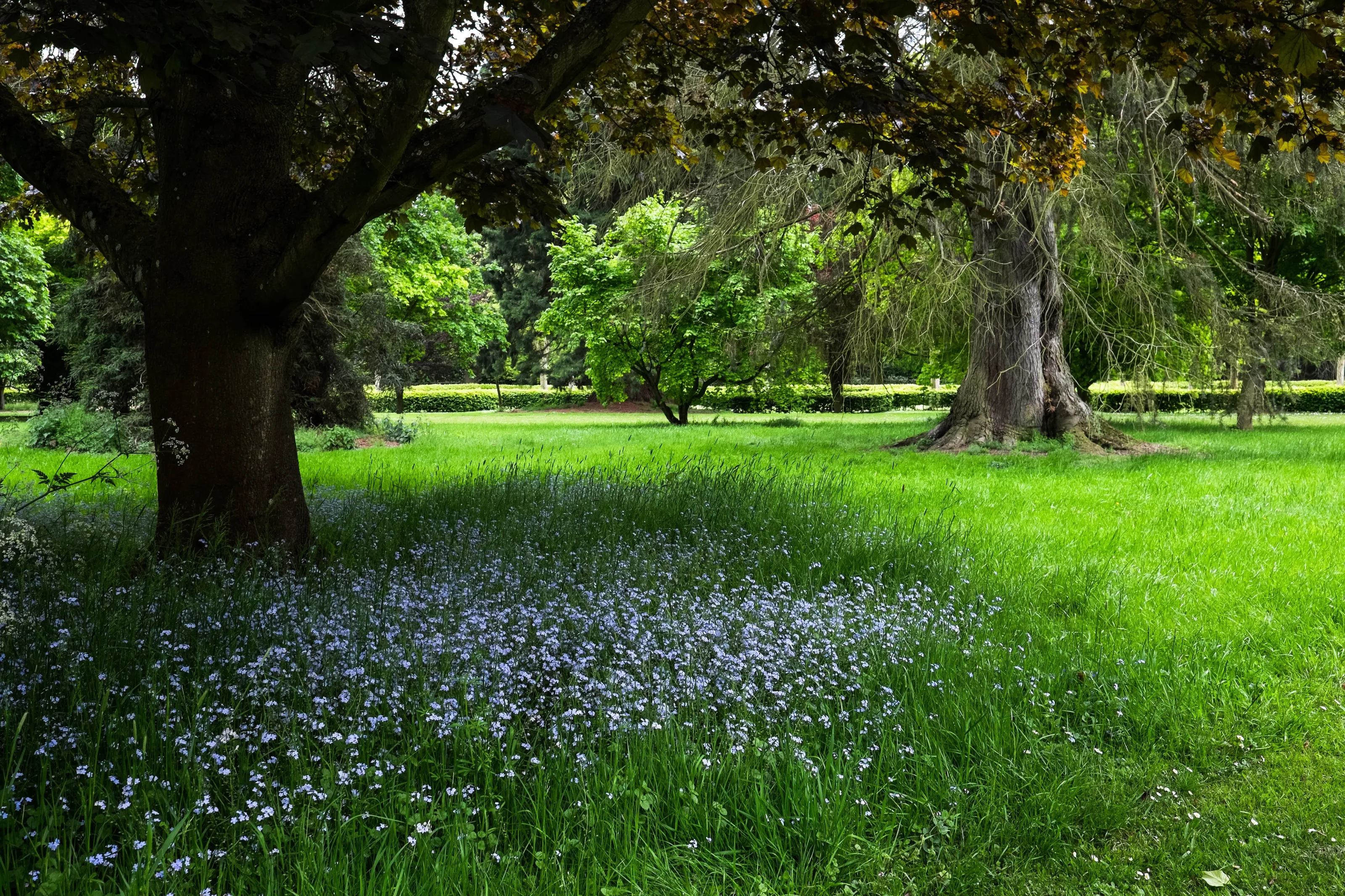 Althorp Gardens