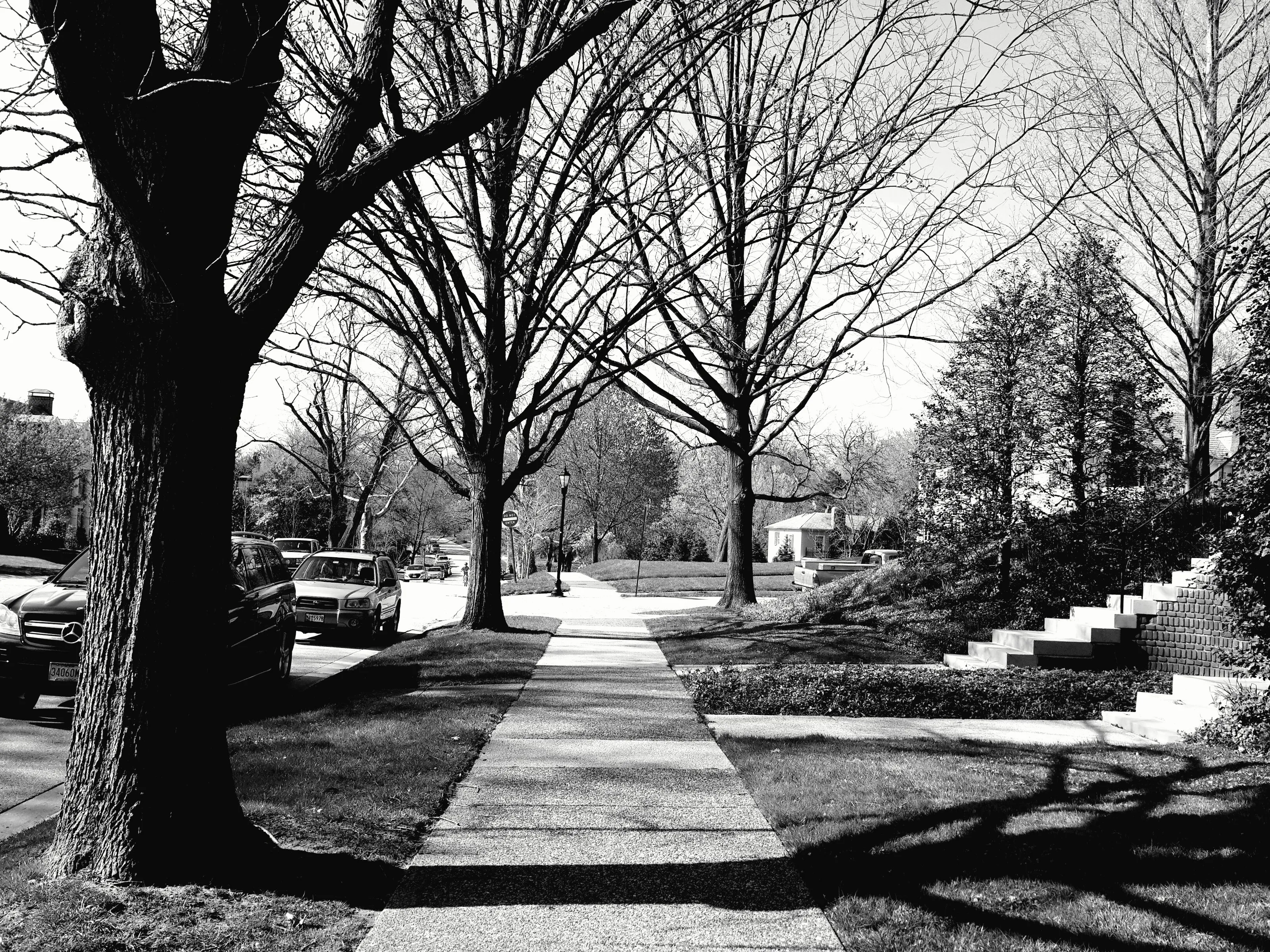 The solitary path