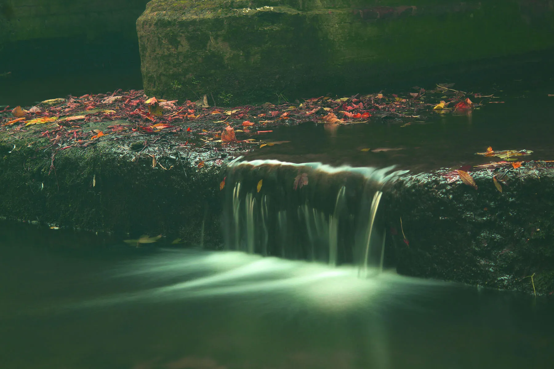 Autumnal Exposure