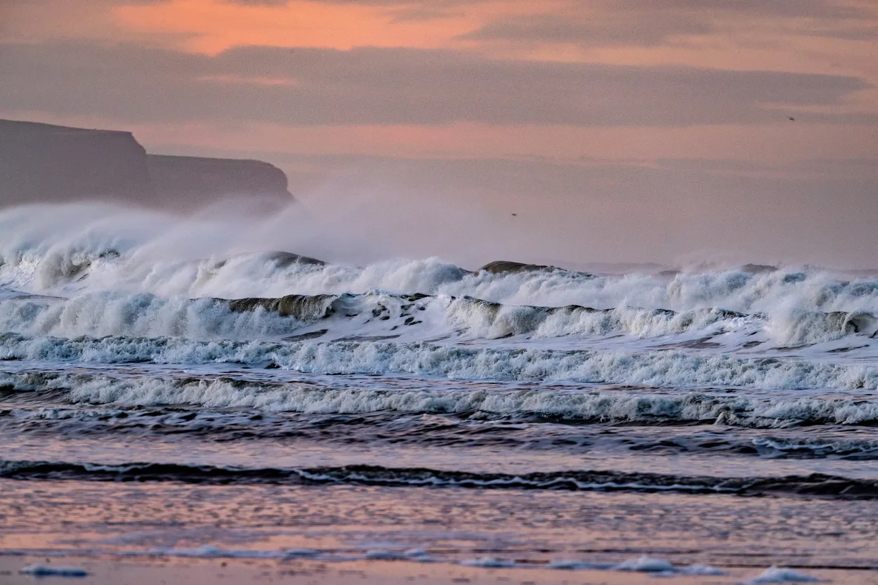 Entry 3562172
