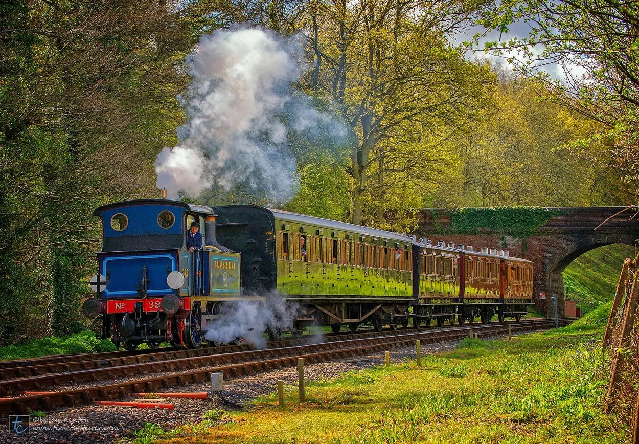 Entry 195800