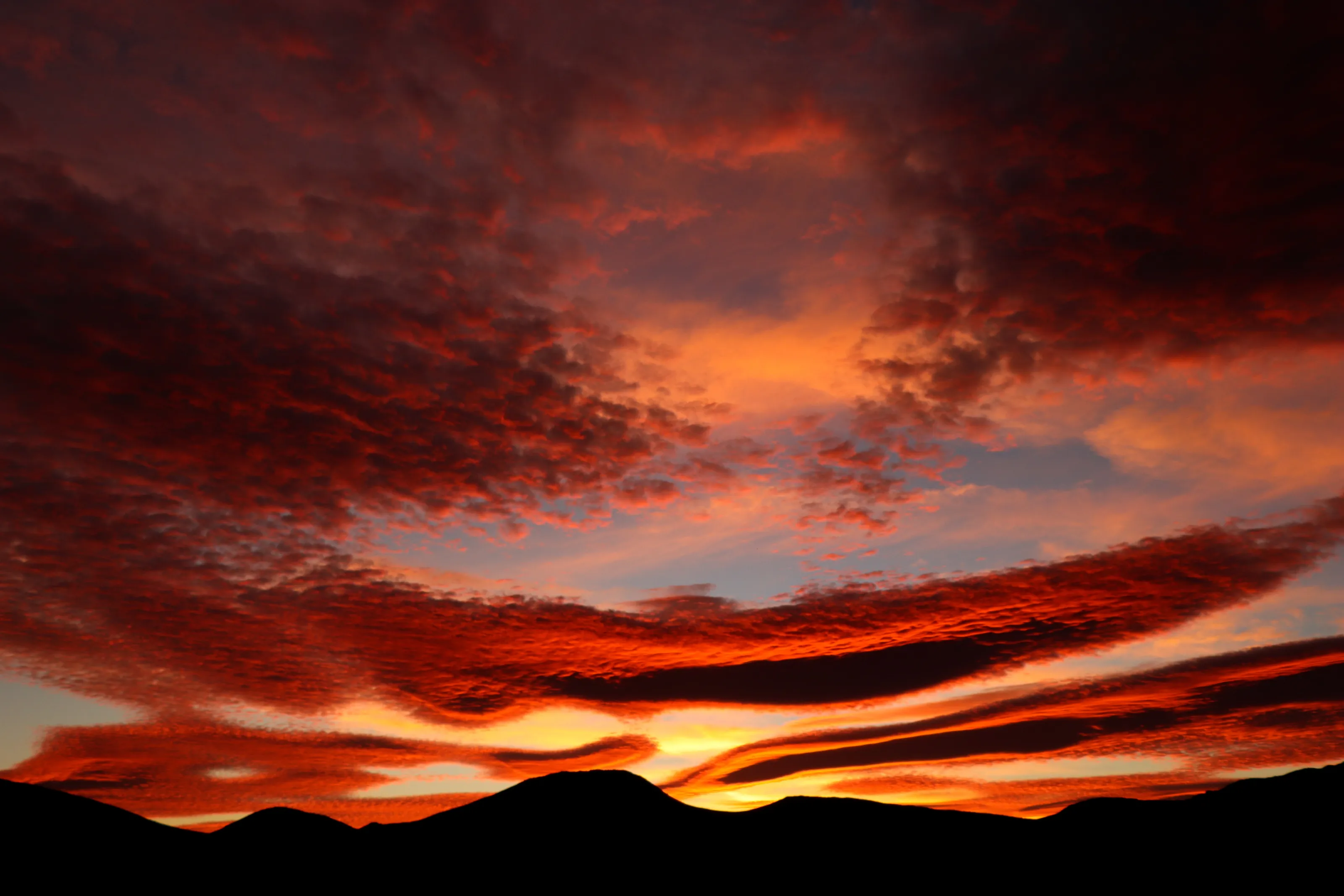 Karoo