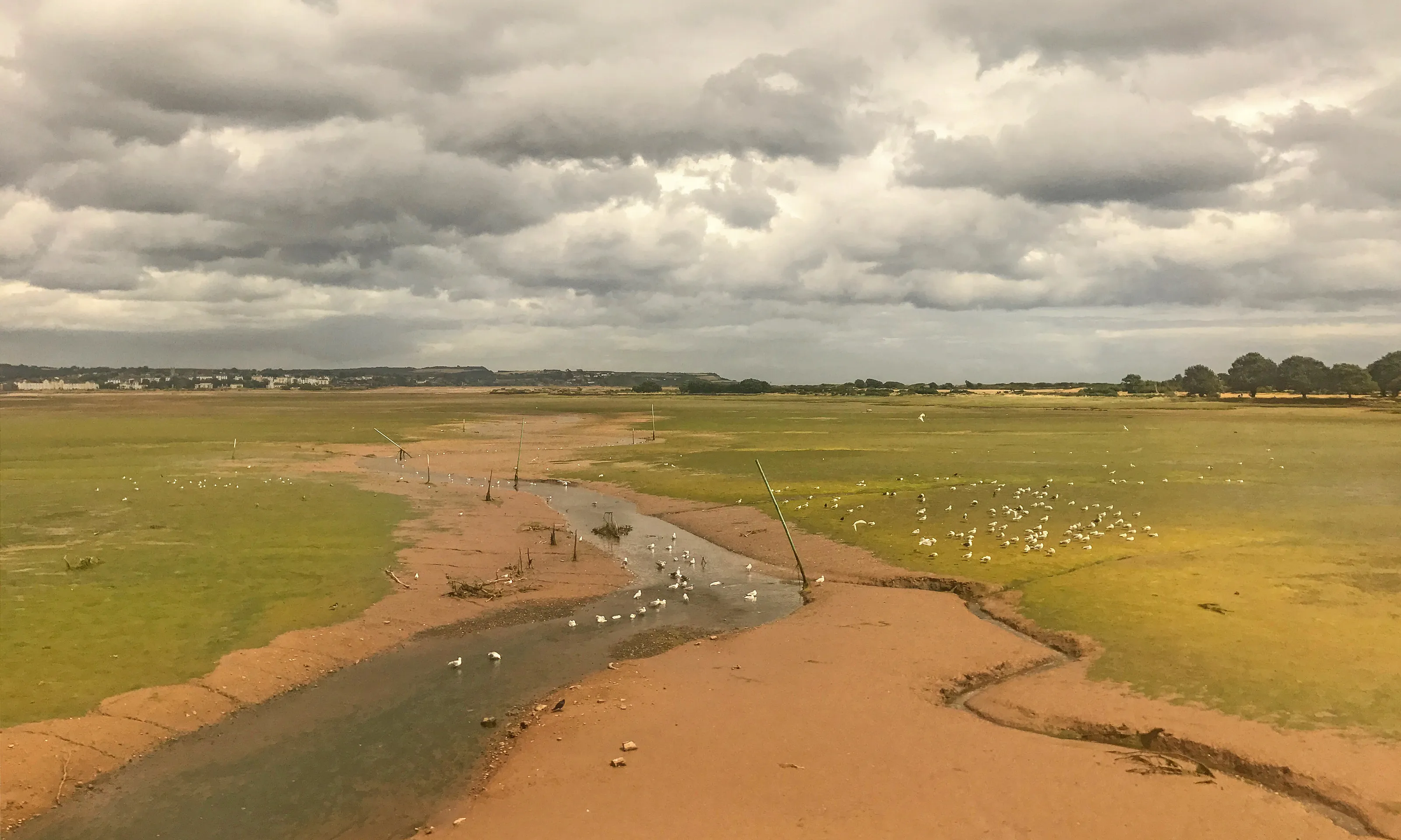 Exe Estuary