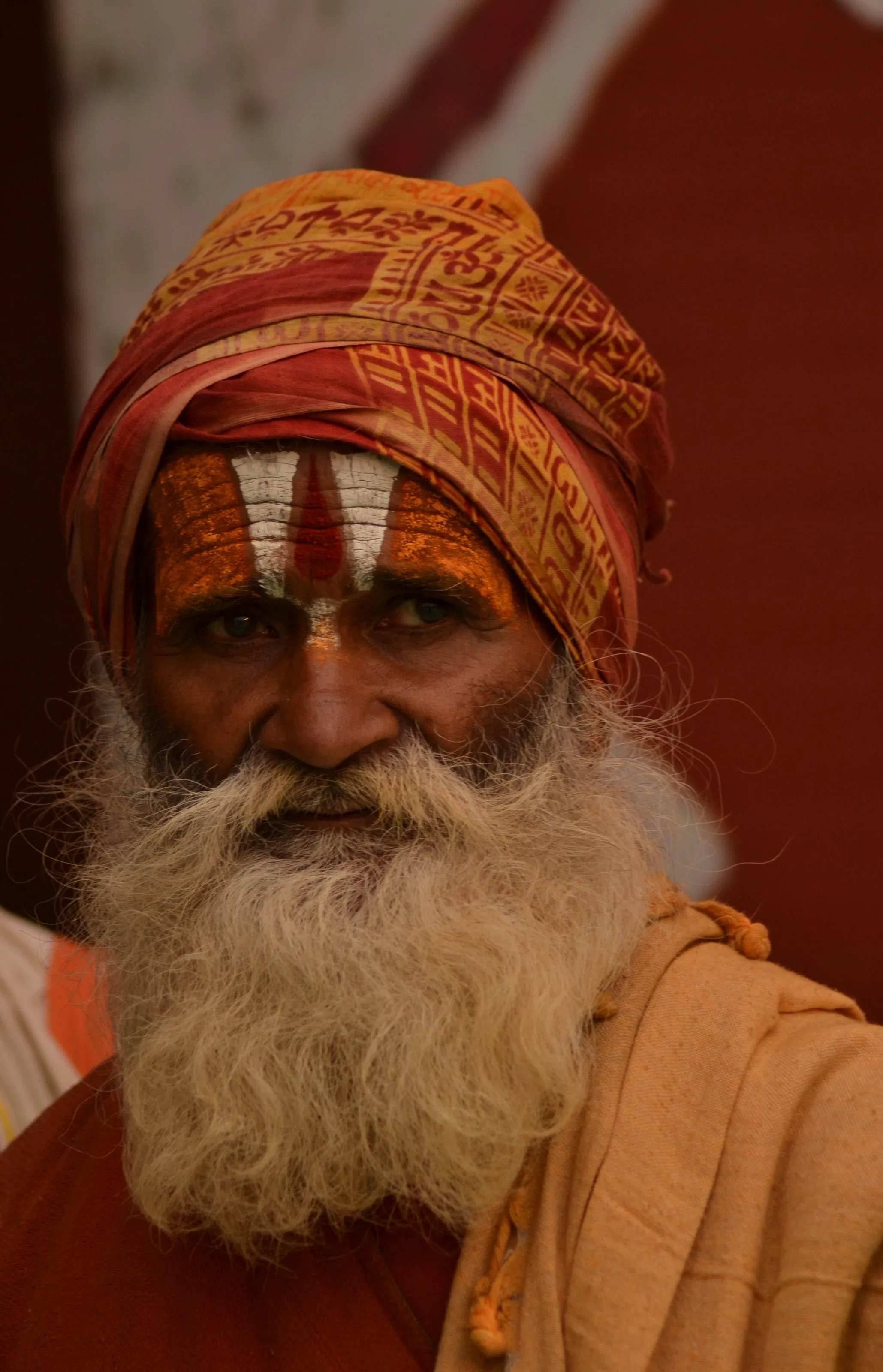 Saint in the Kumbh Mela