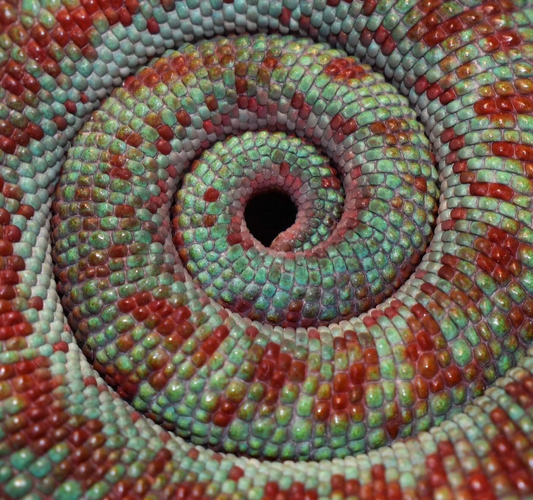 Karma Chameleon