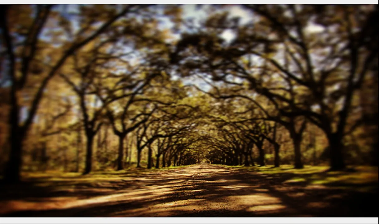 Oak alleyway