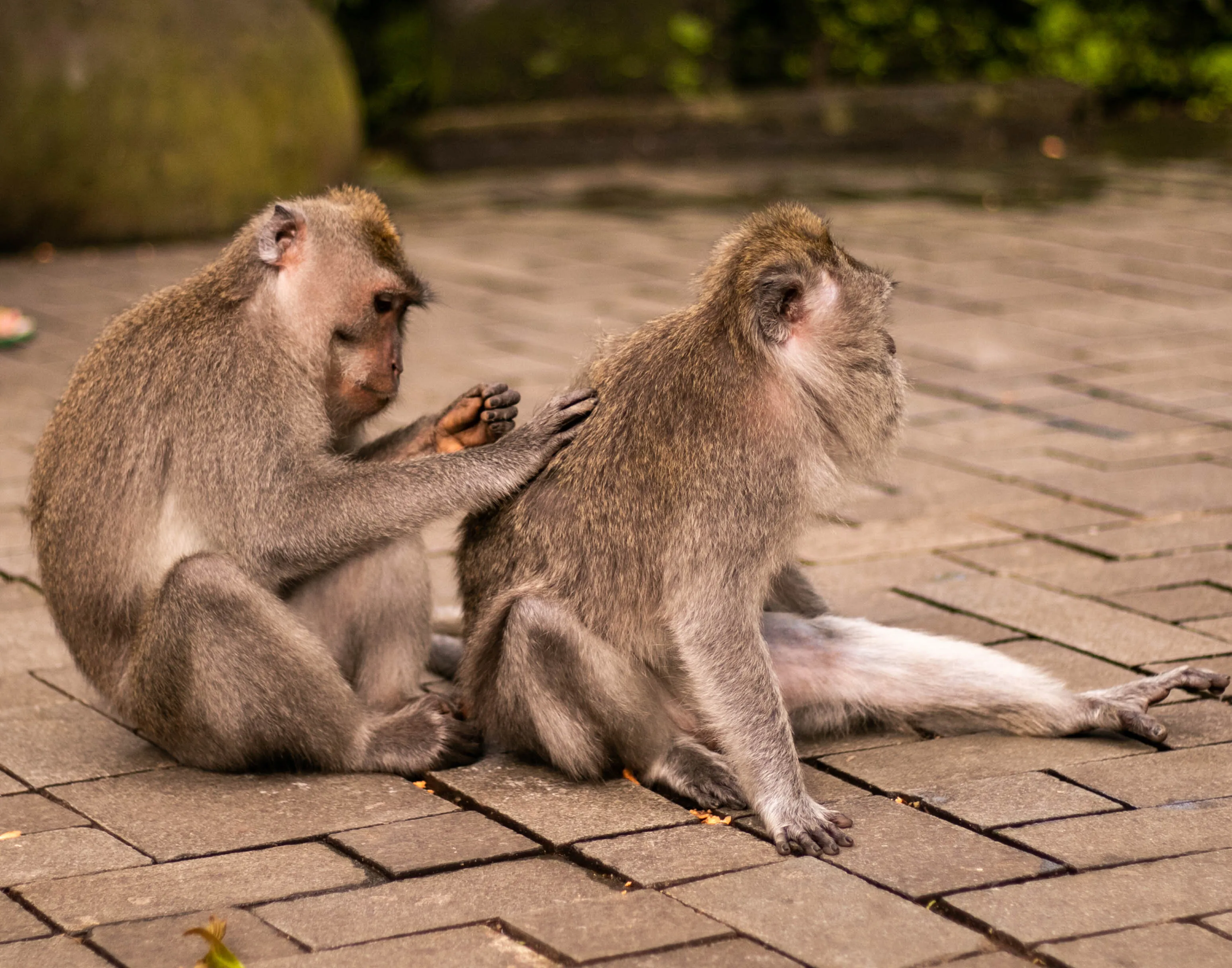 Friends forever