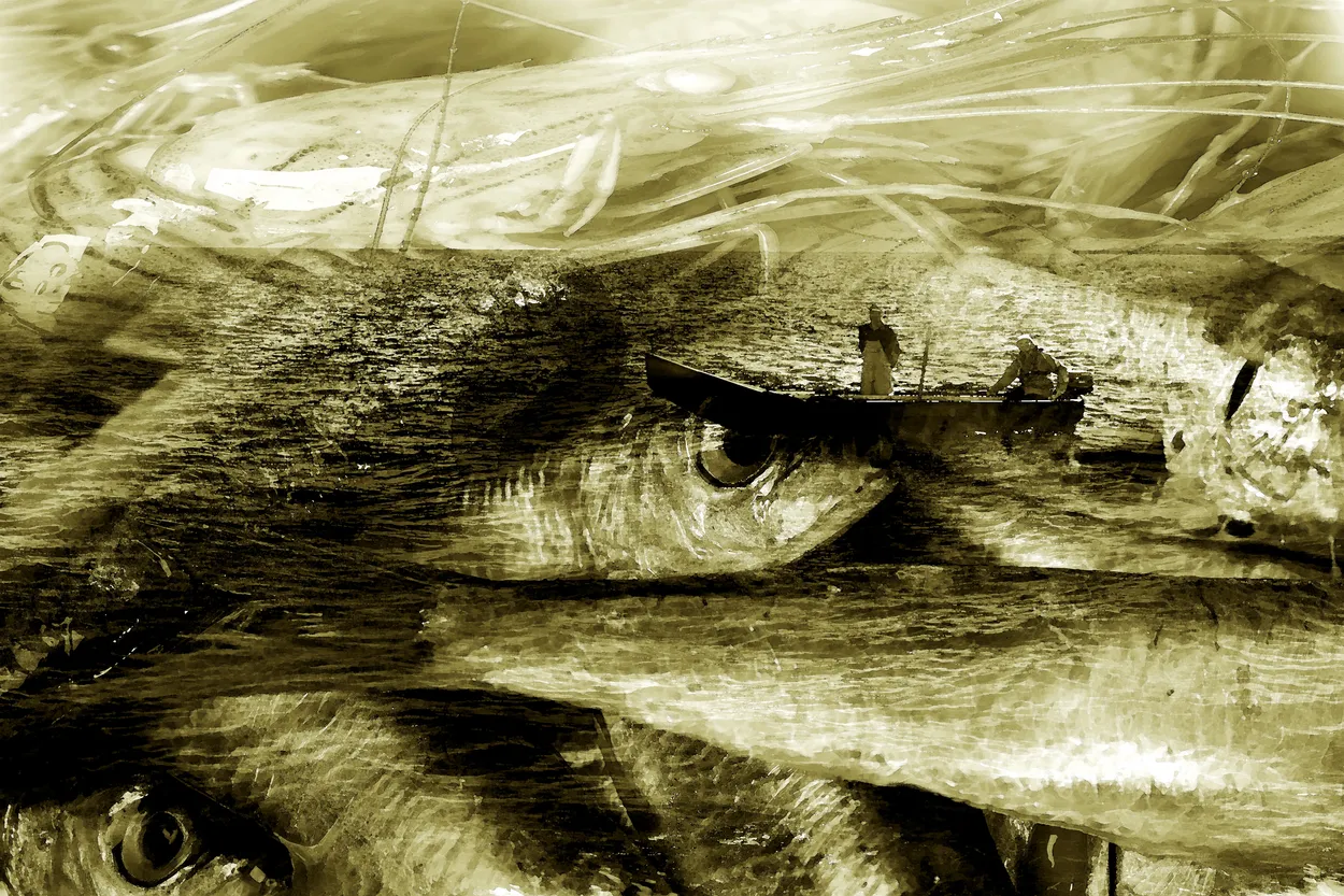 Entry 3593683