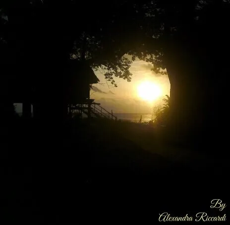 My perfect place