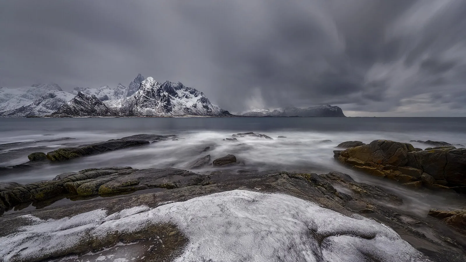 Entry 8102629