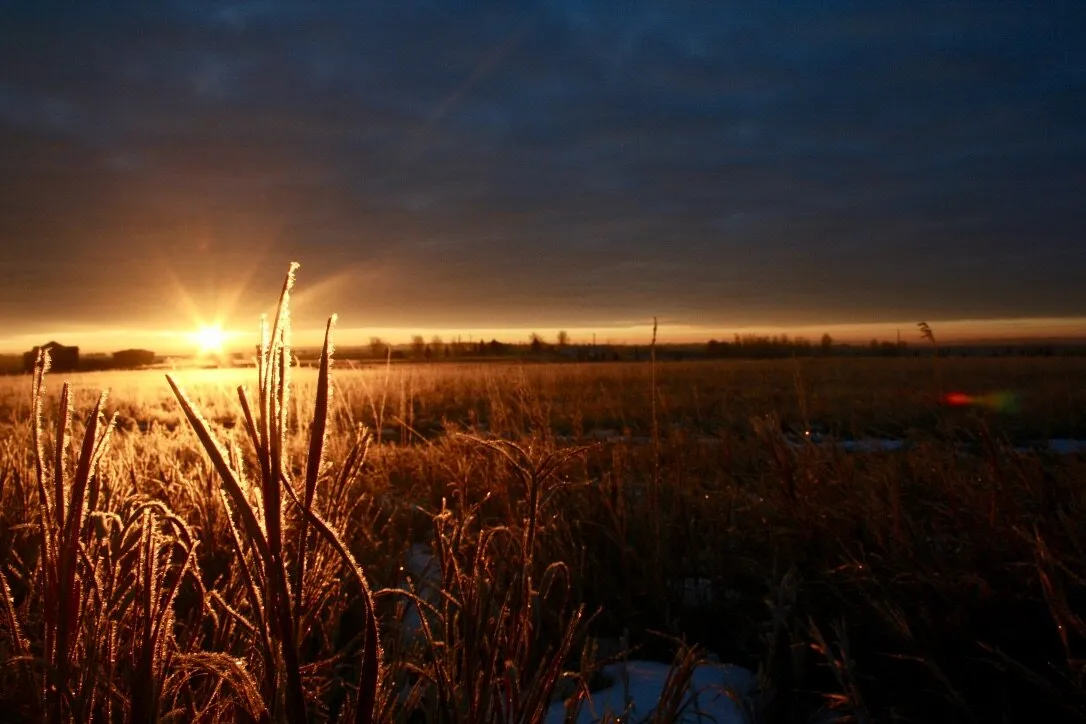 Sunrise