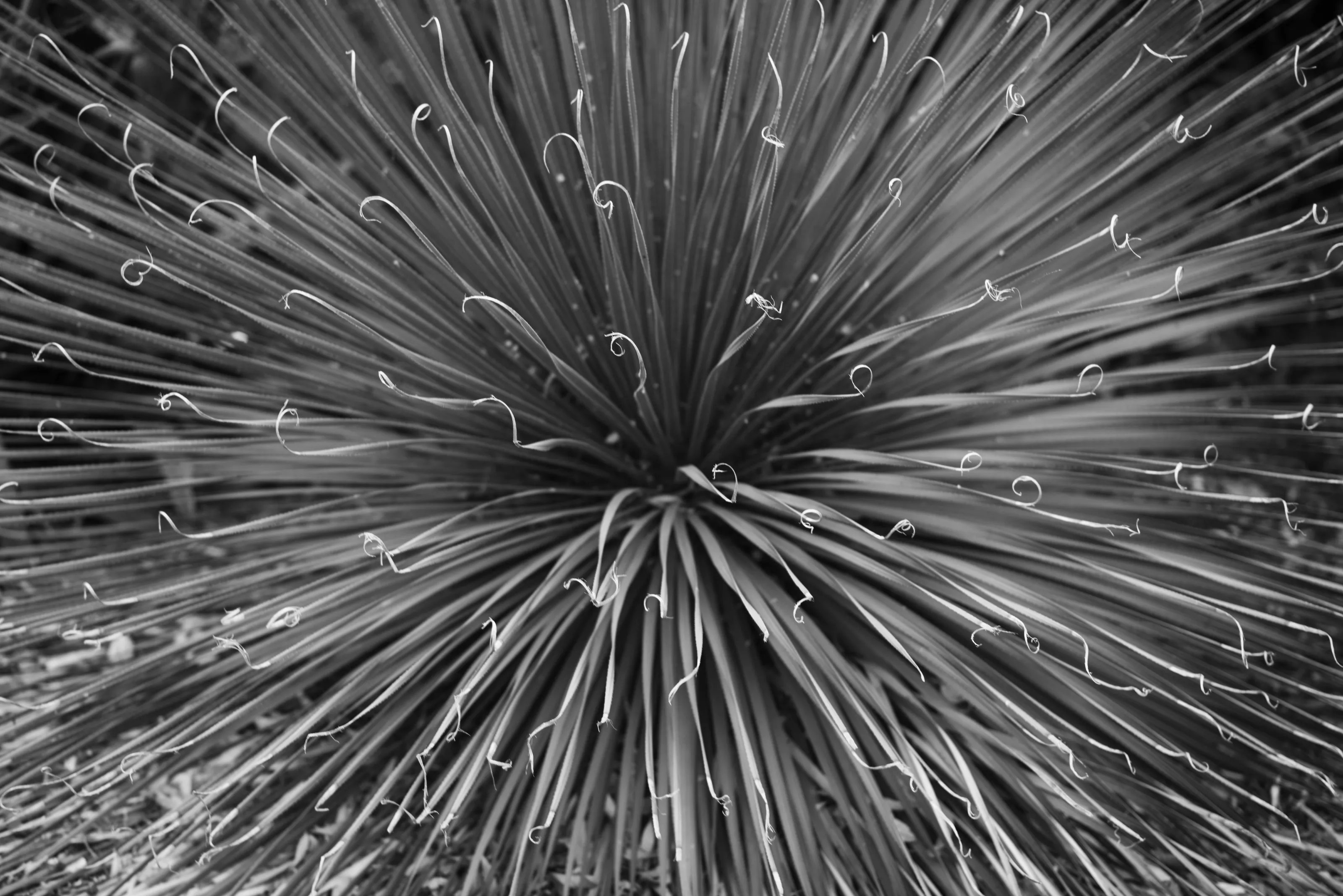 Patterns