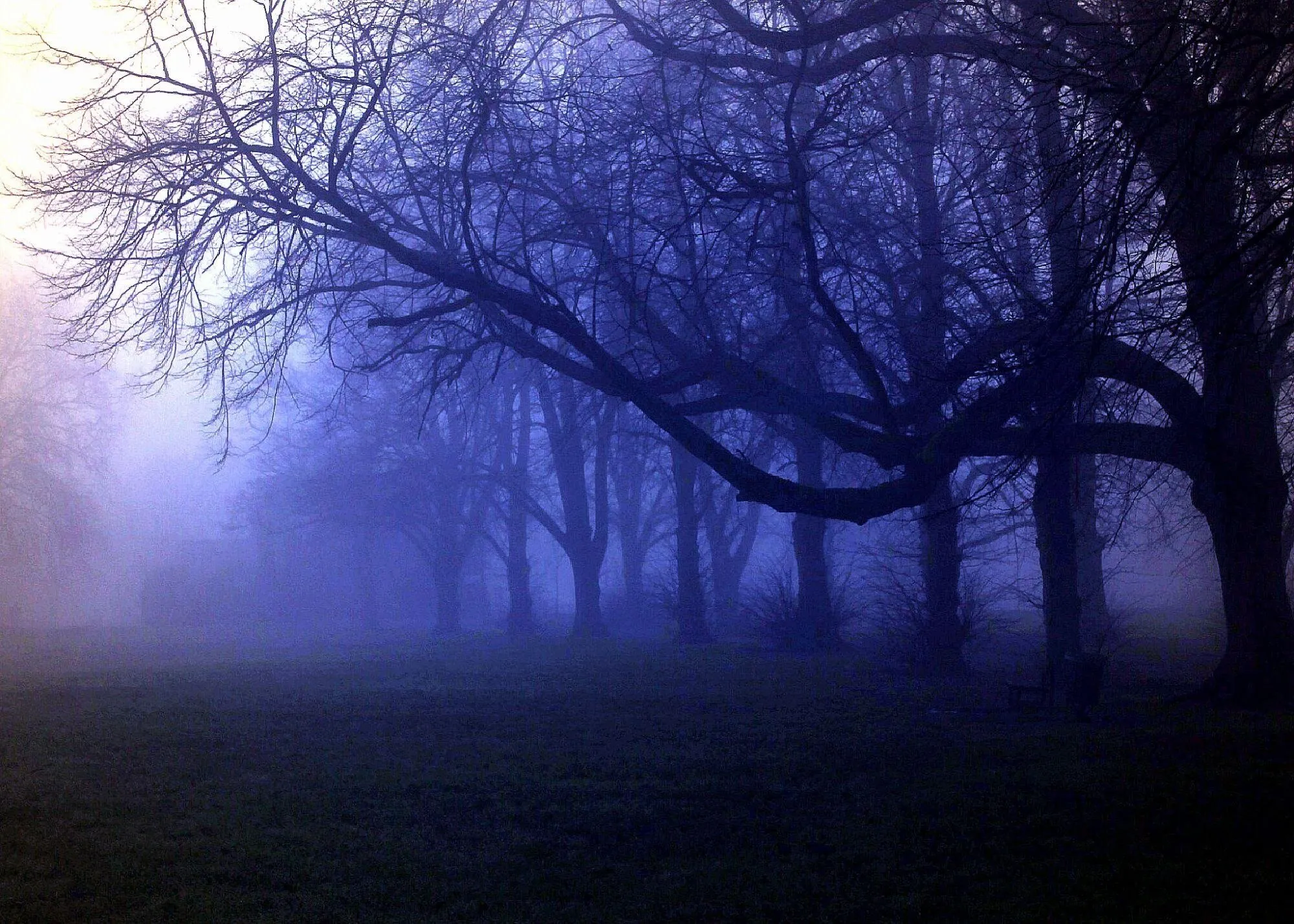 Moody blues