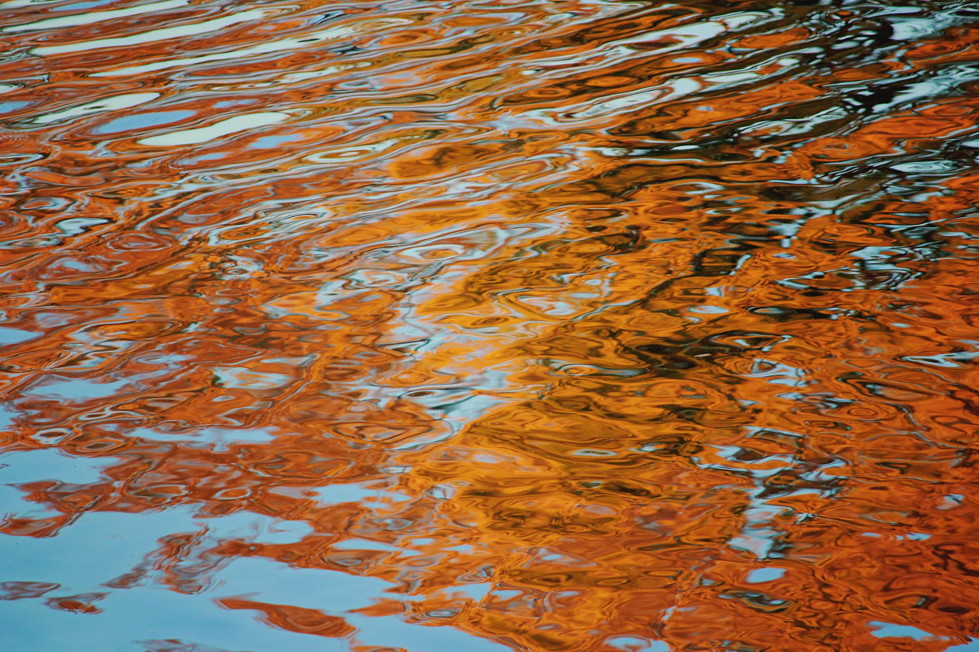 Autumn Colors