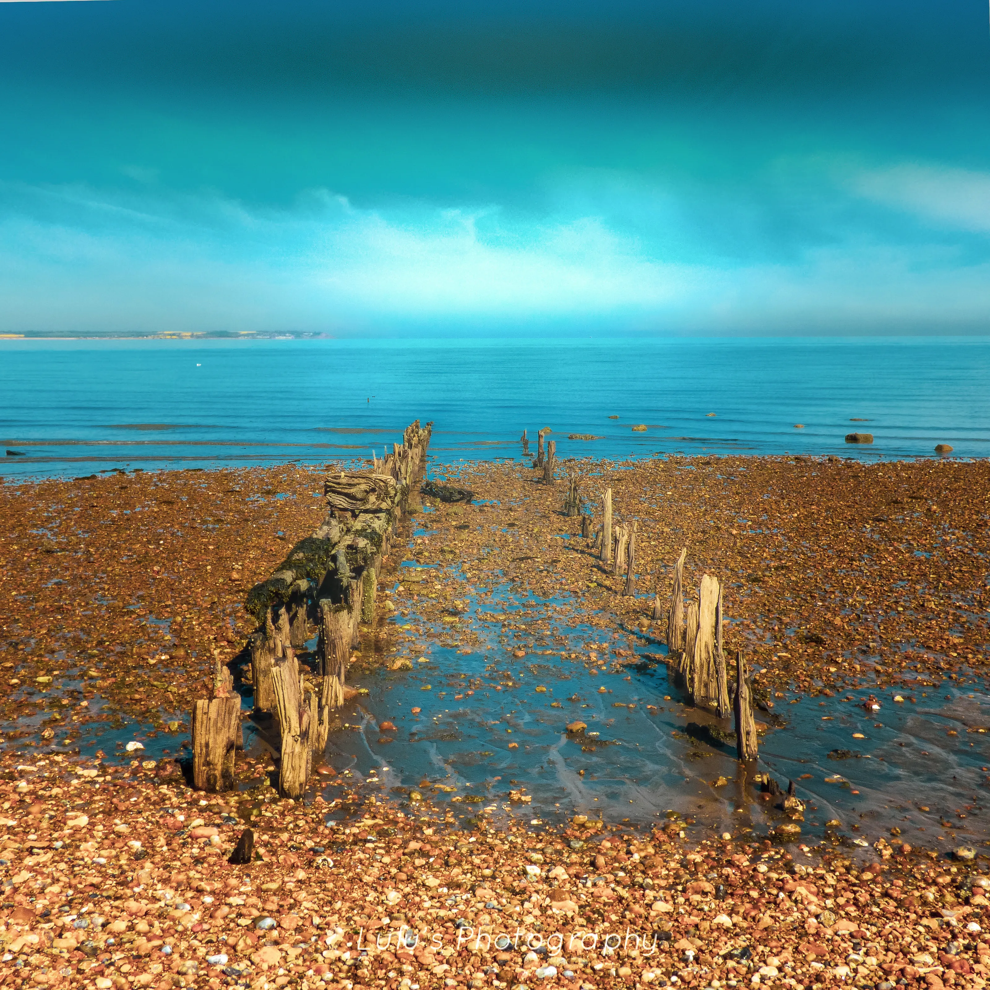 Blues at Whitstable