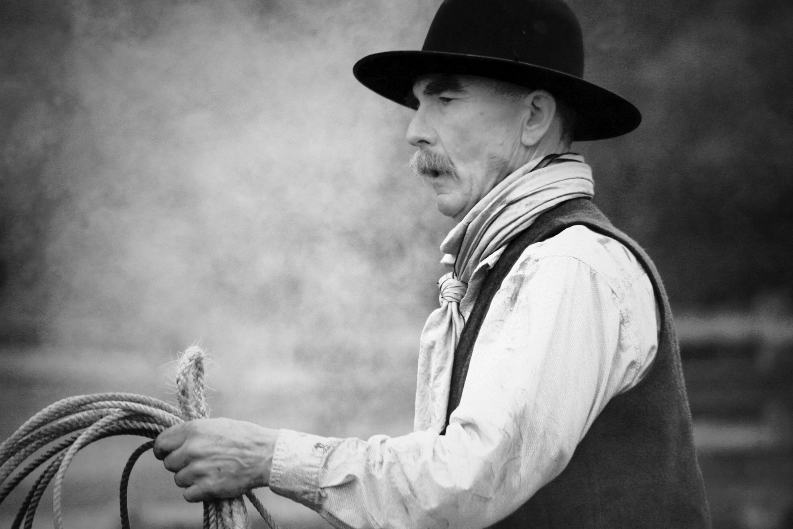 Vaquero