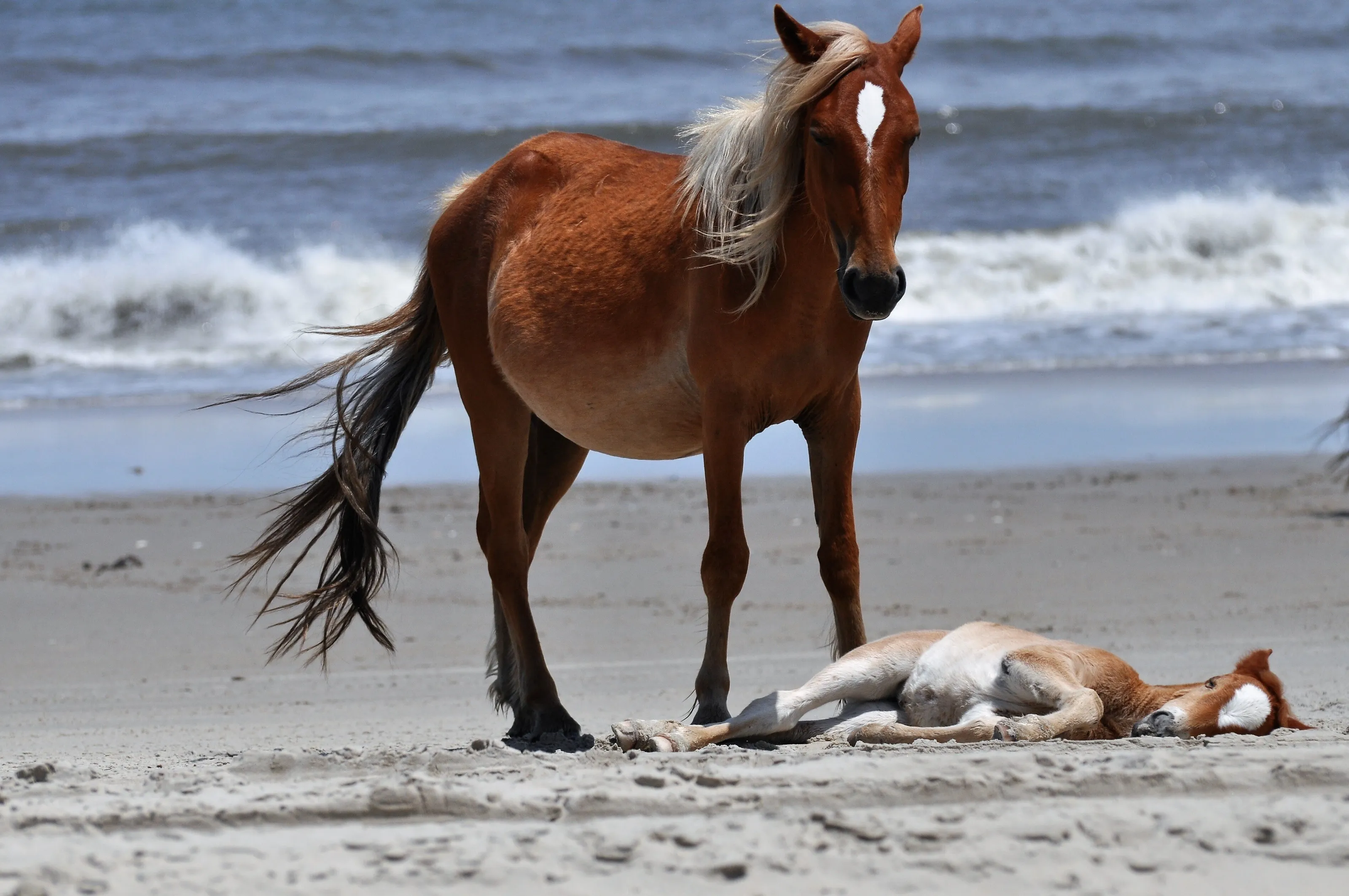 Every baby needs a nap