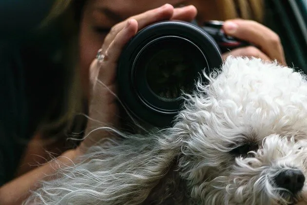 Hey, hey, you, you, get outta my shot