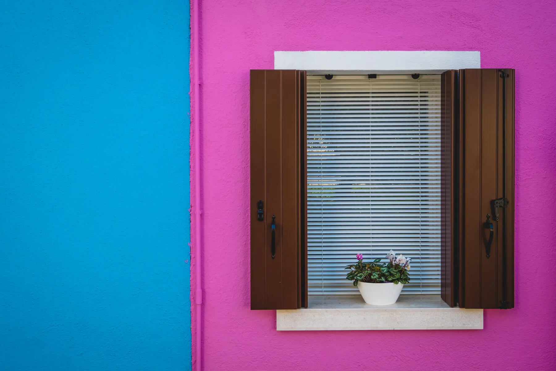 Pink & Blue