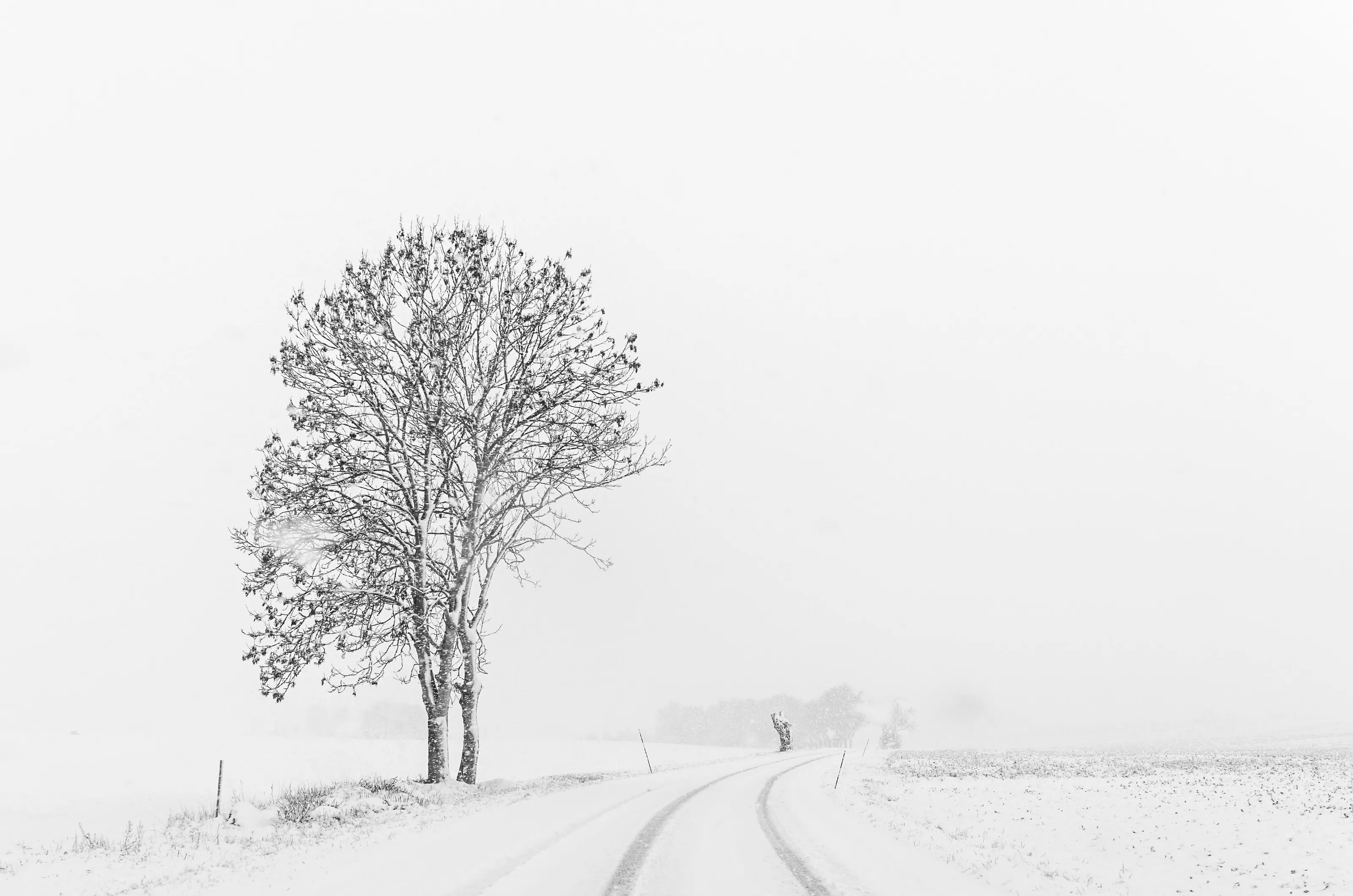 Winter - Malmö
