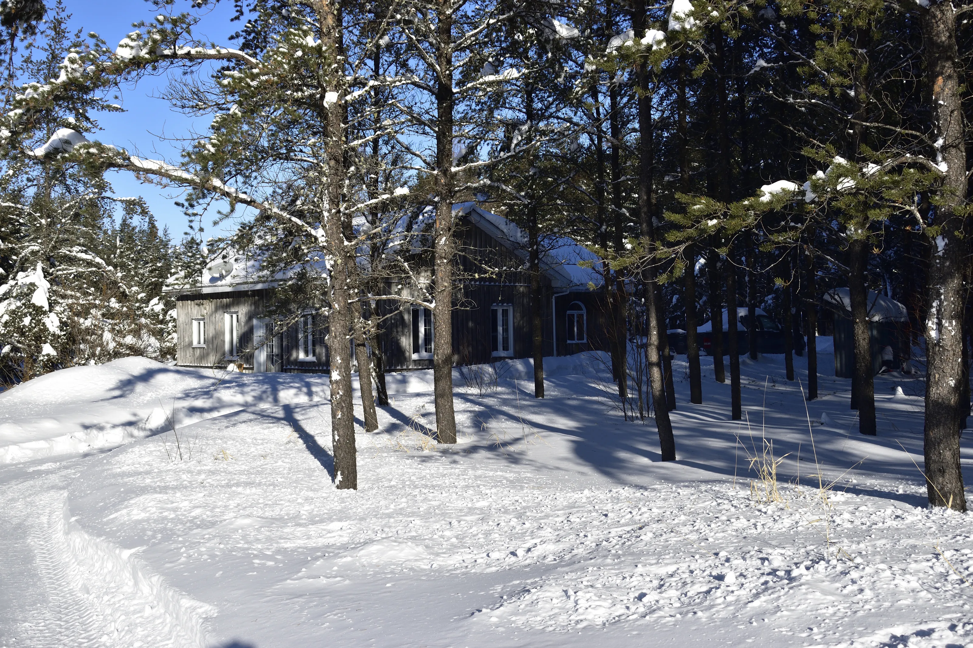 My home