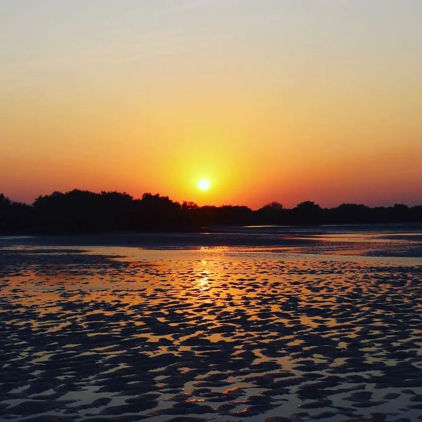 The rise of the Sun