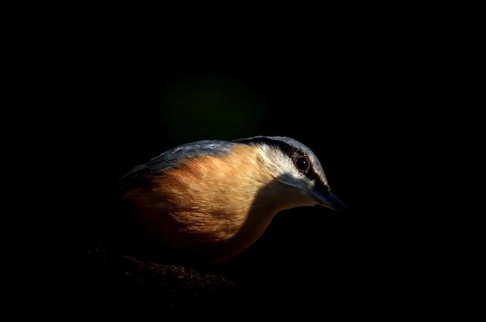 Sunhatch